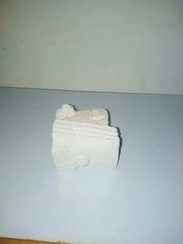 The Squat