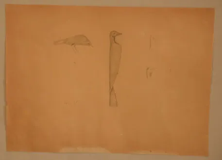Mythical Bird - studies 9