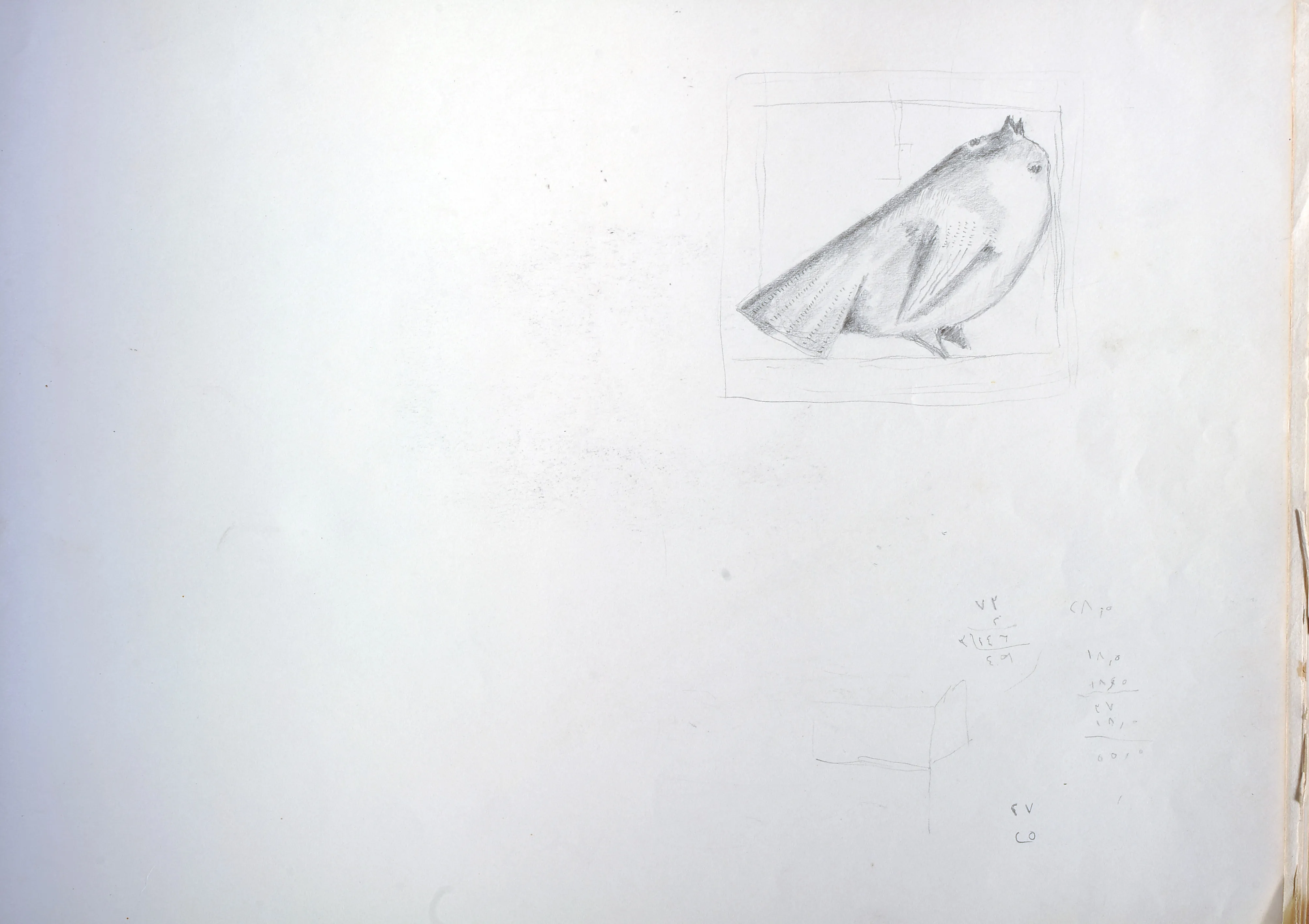 Untitled Pencil007