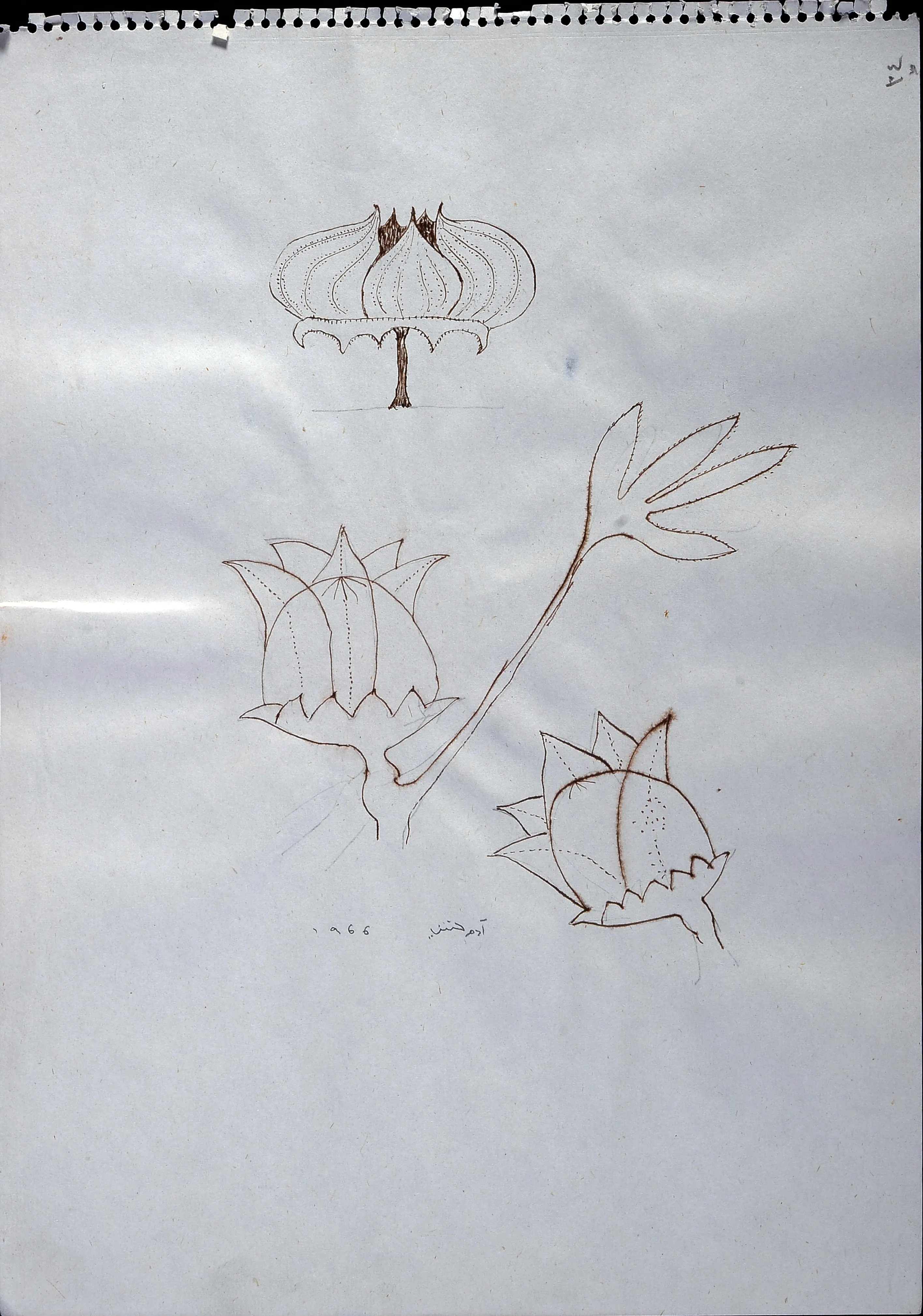 Untitled Ink092