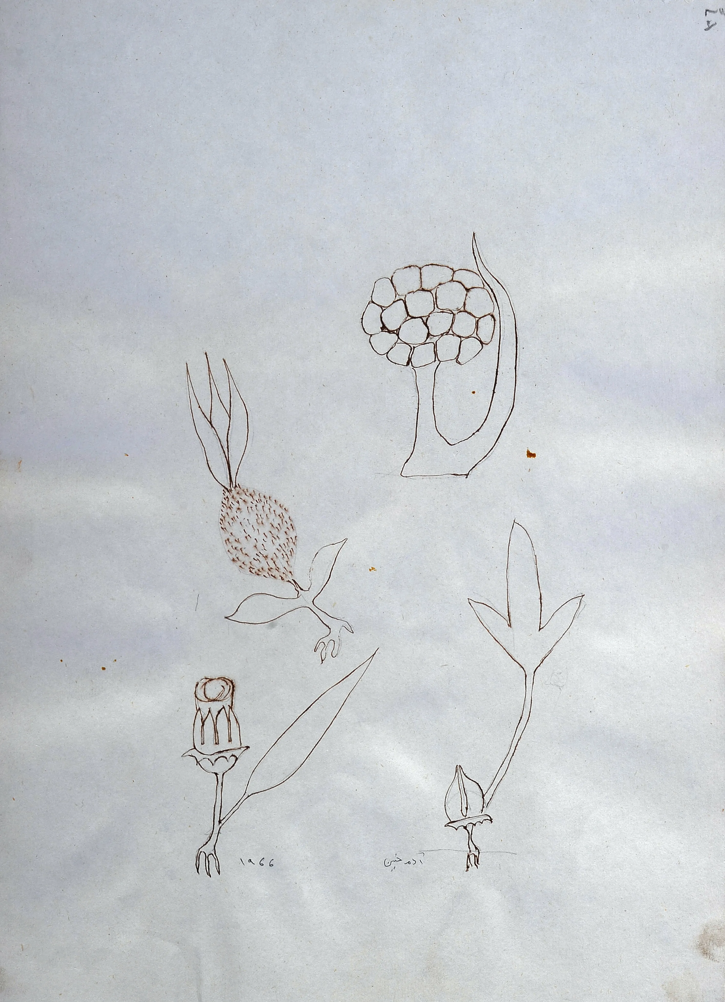 Untitled Ink094