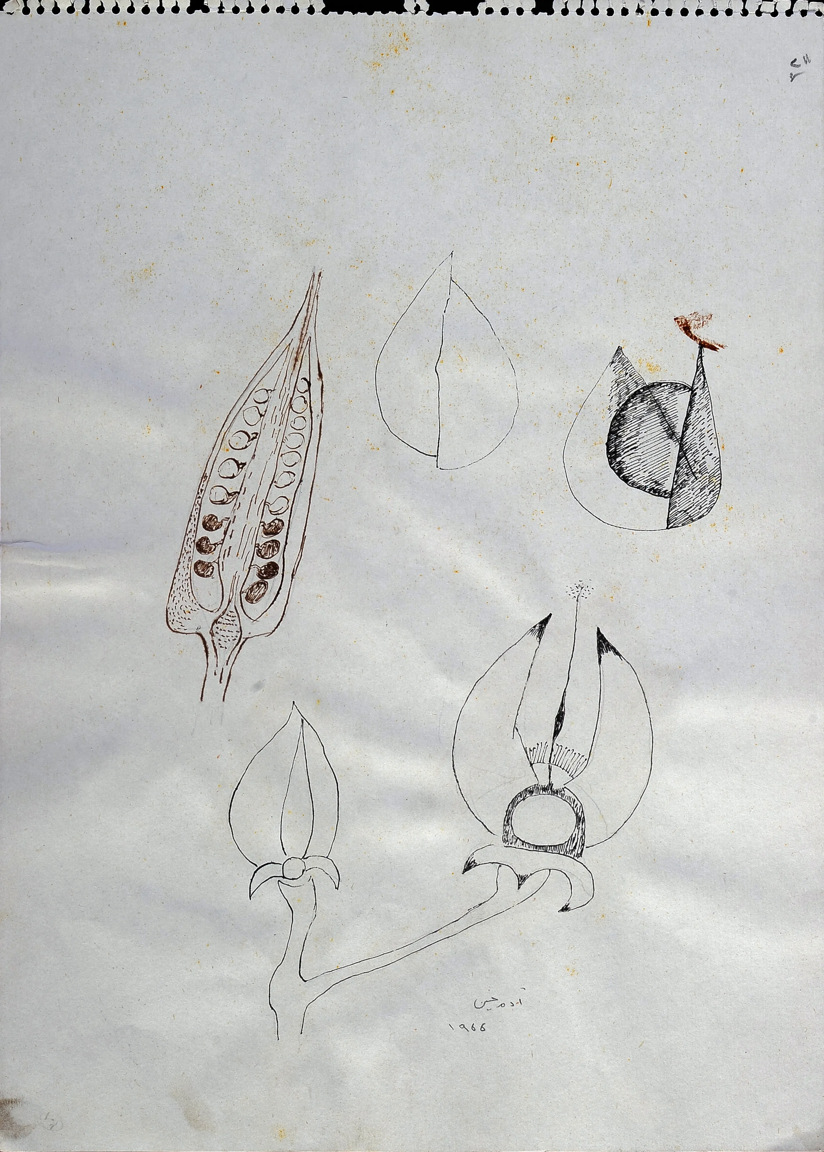 Untitled Ink095