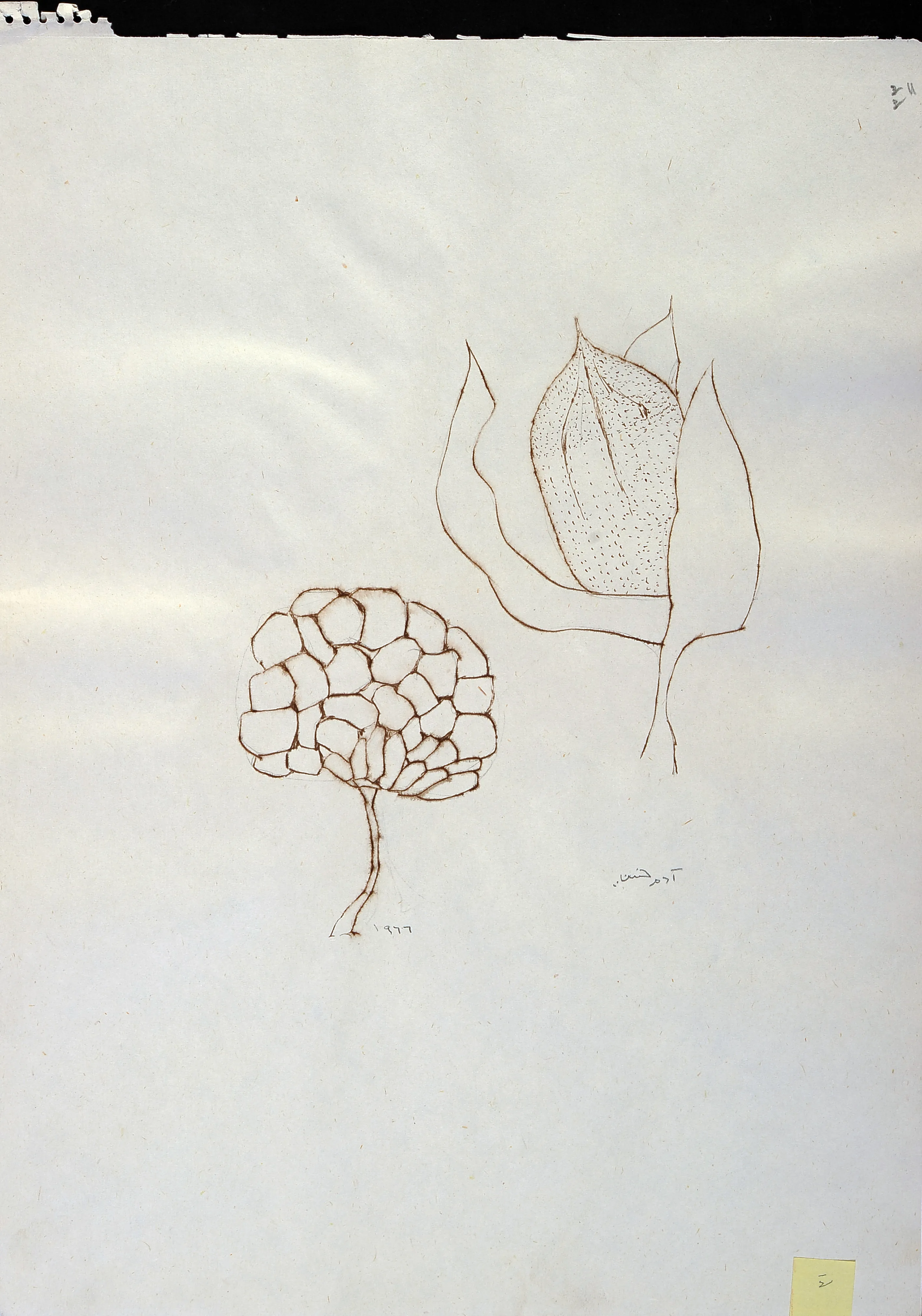 Untitled Ink097