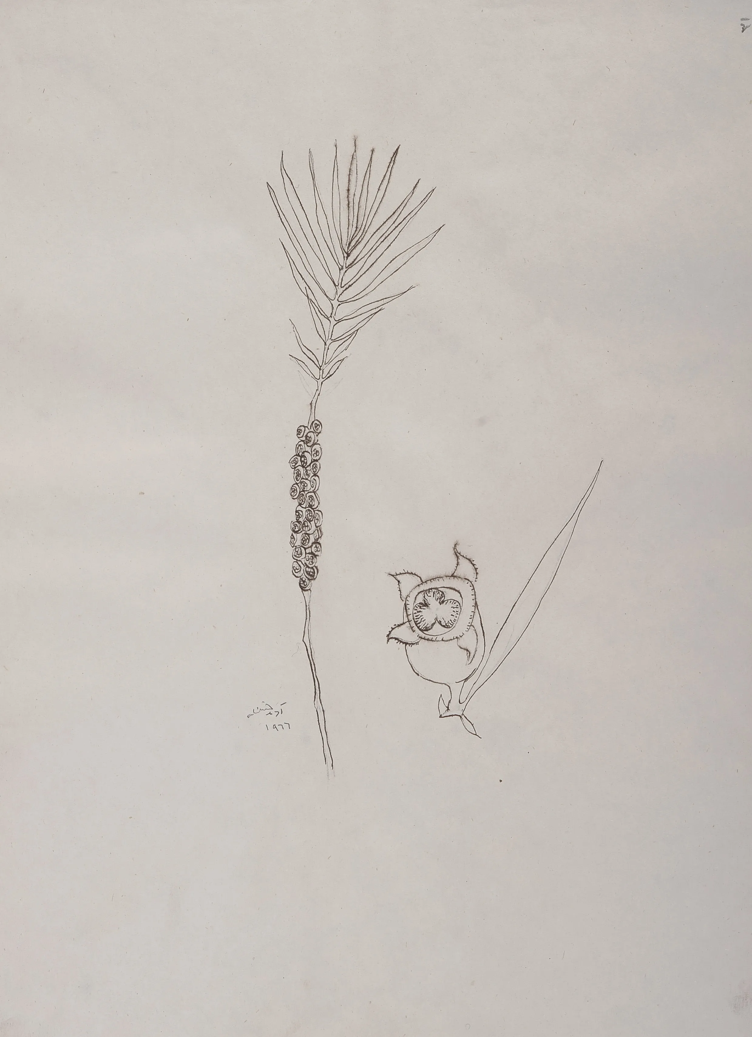 Untitled Ink100