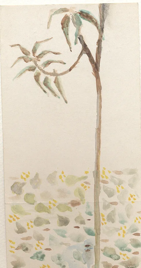 Untitled Watercolor 122