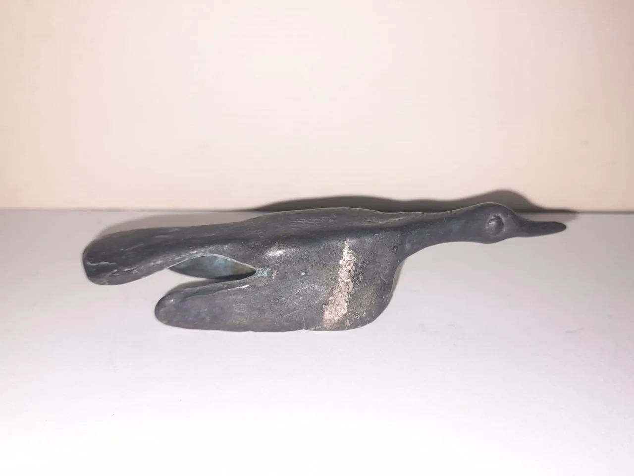 A Bird