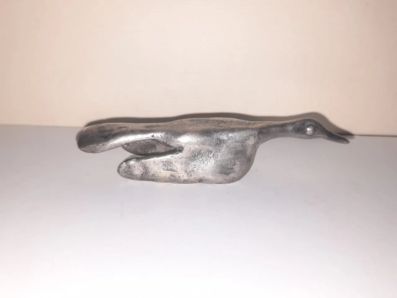 A Bird