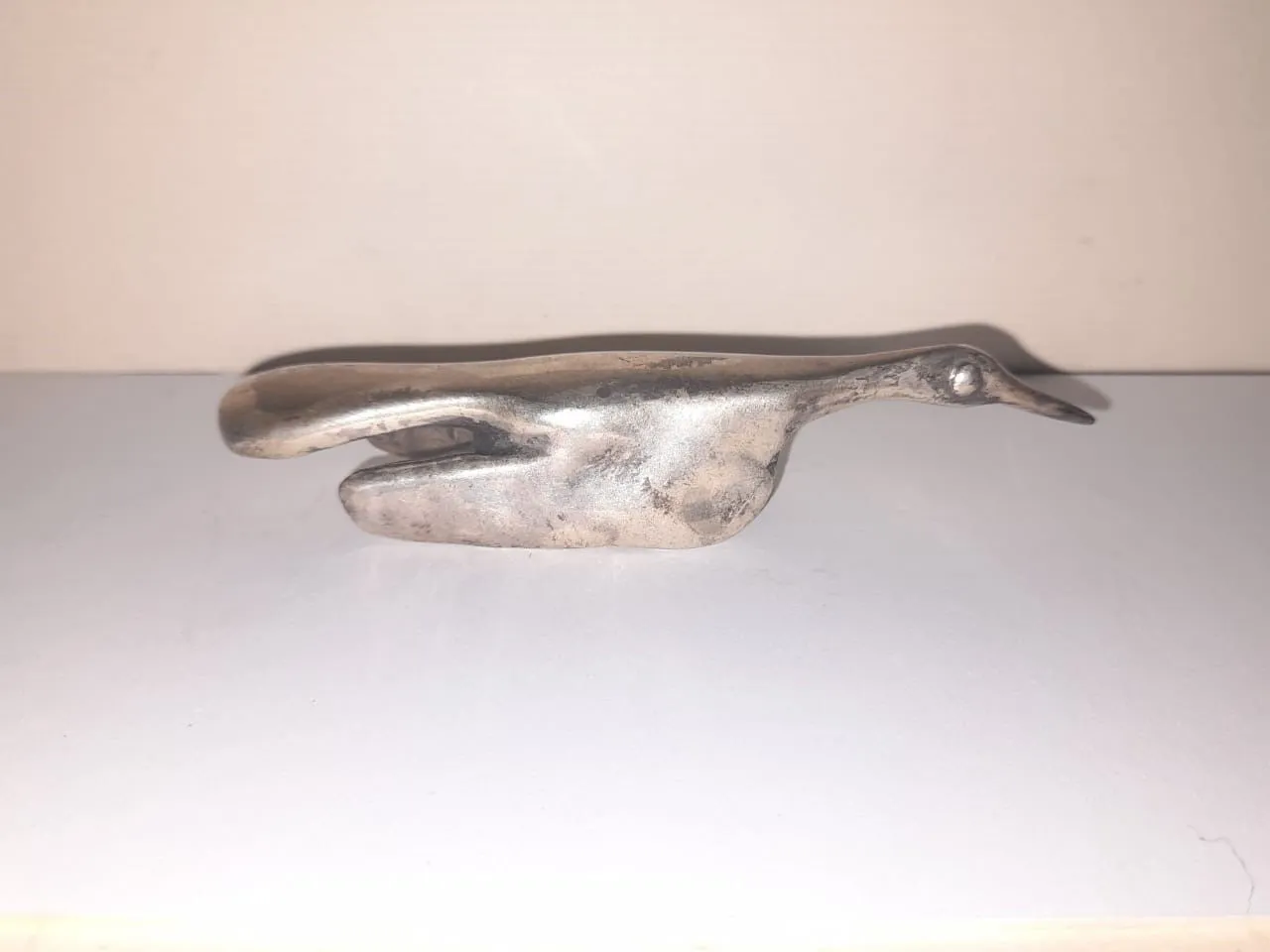 A Bird