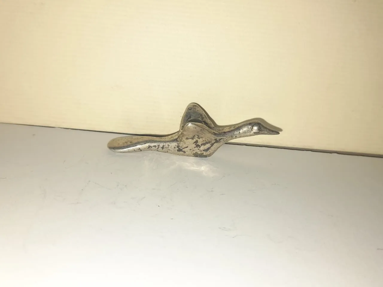 An Immigrant Bird