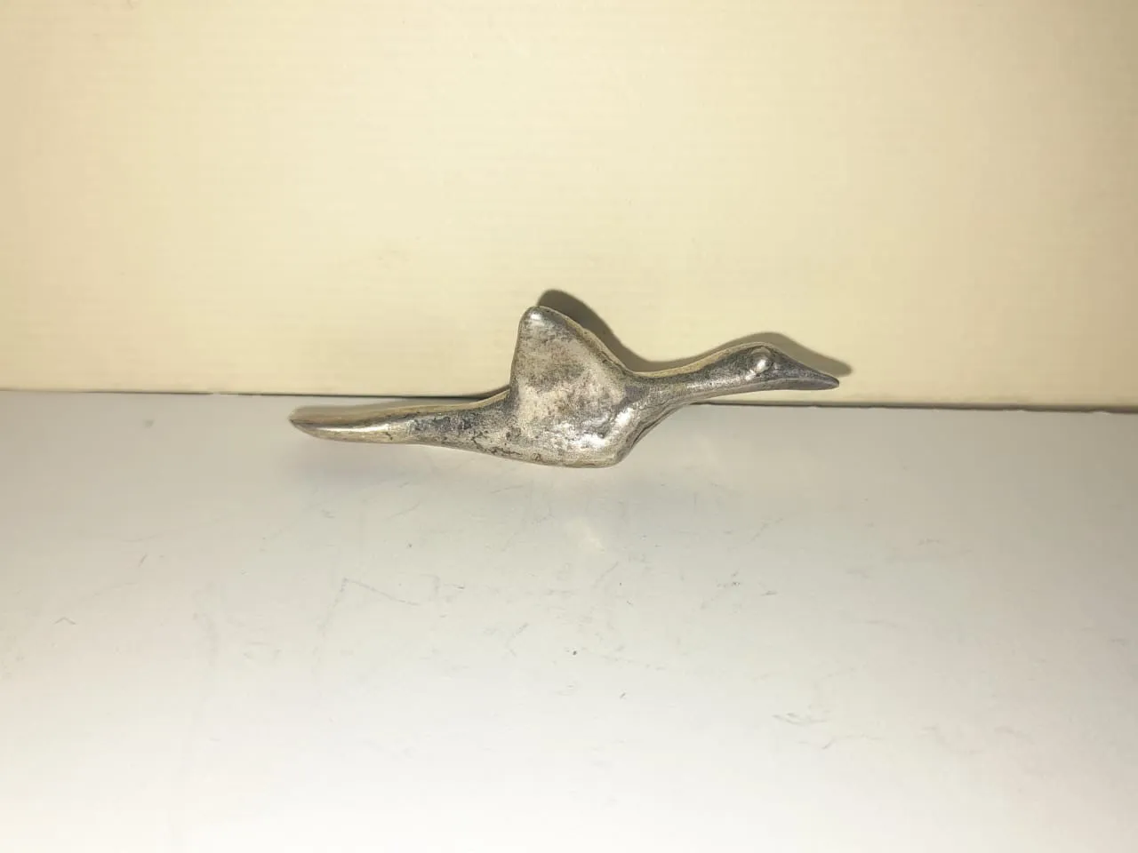 An Immigrant Bird