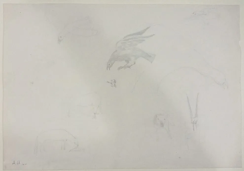 Untitled Pencil11