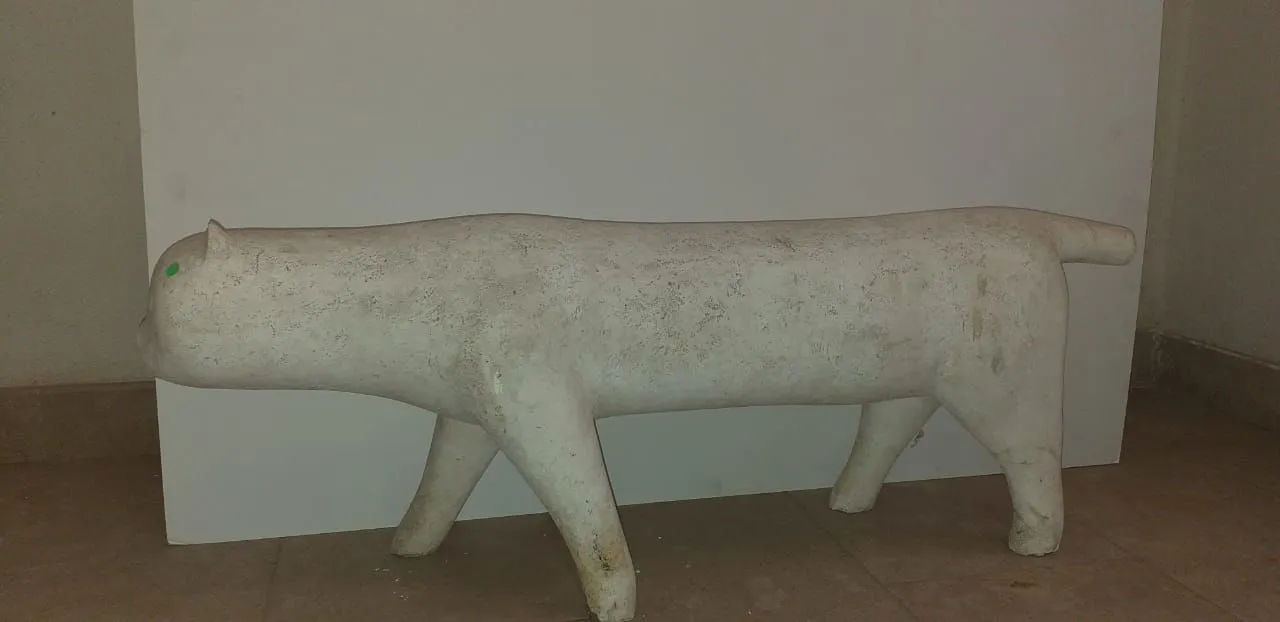 Cat (large)