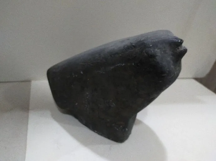 A Bird (3)