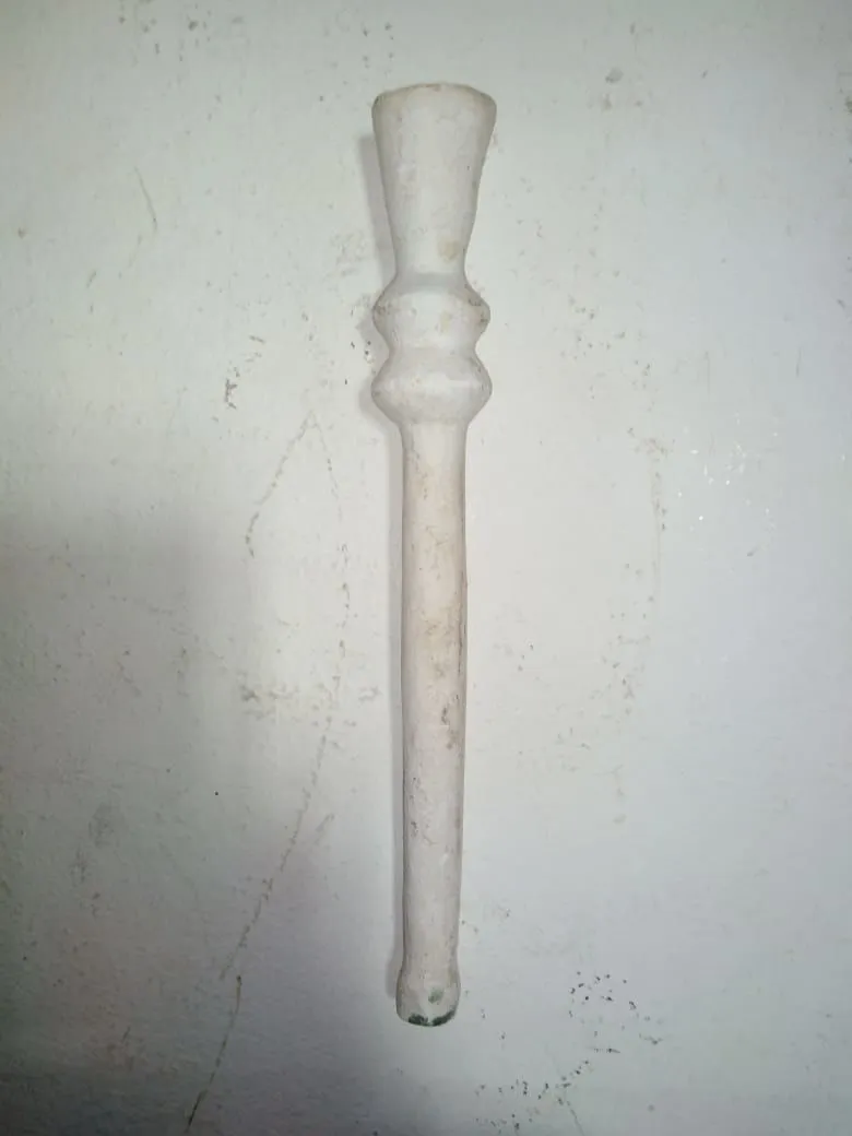 A Plant 3