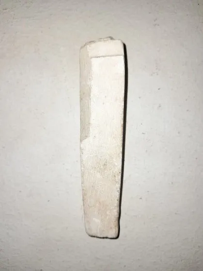 Column (1)