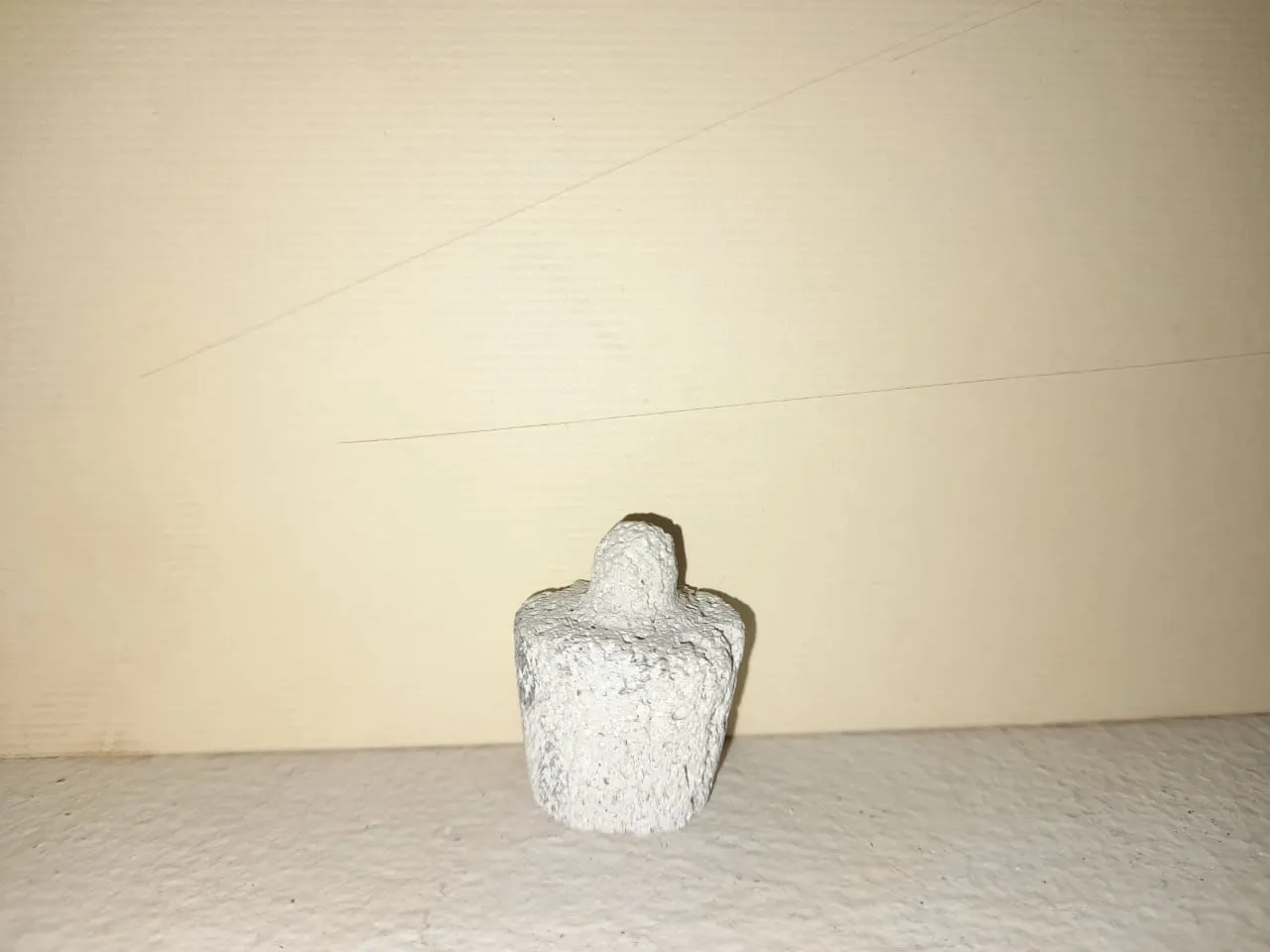 A Cactus