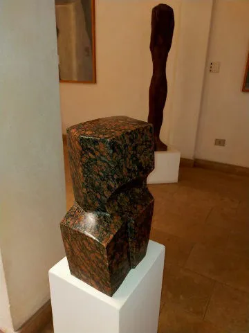 Torso