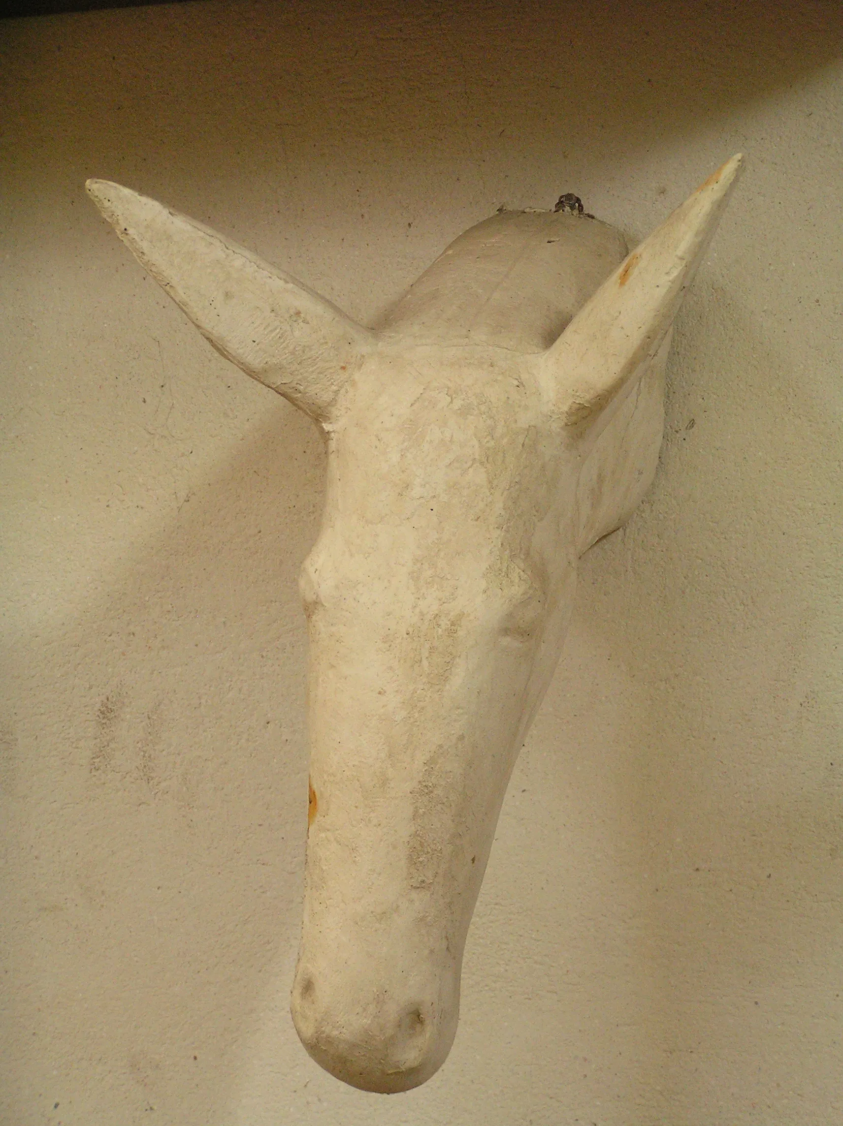 The Donkey's Head
