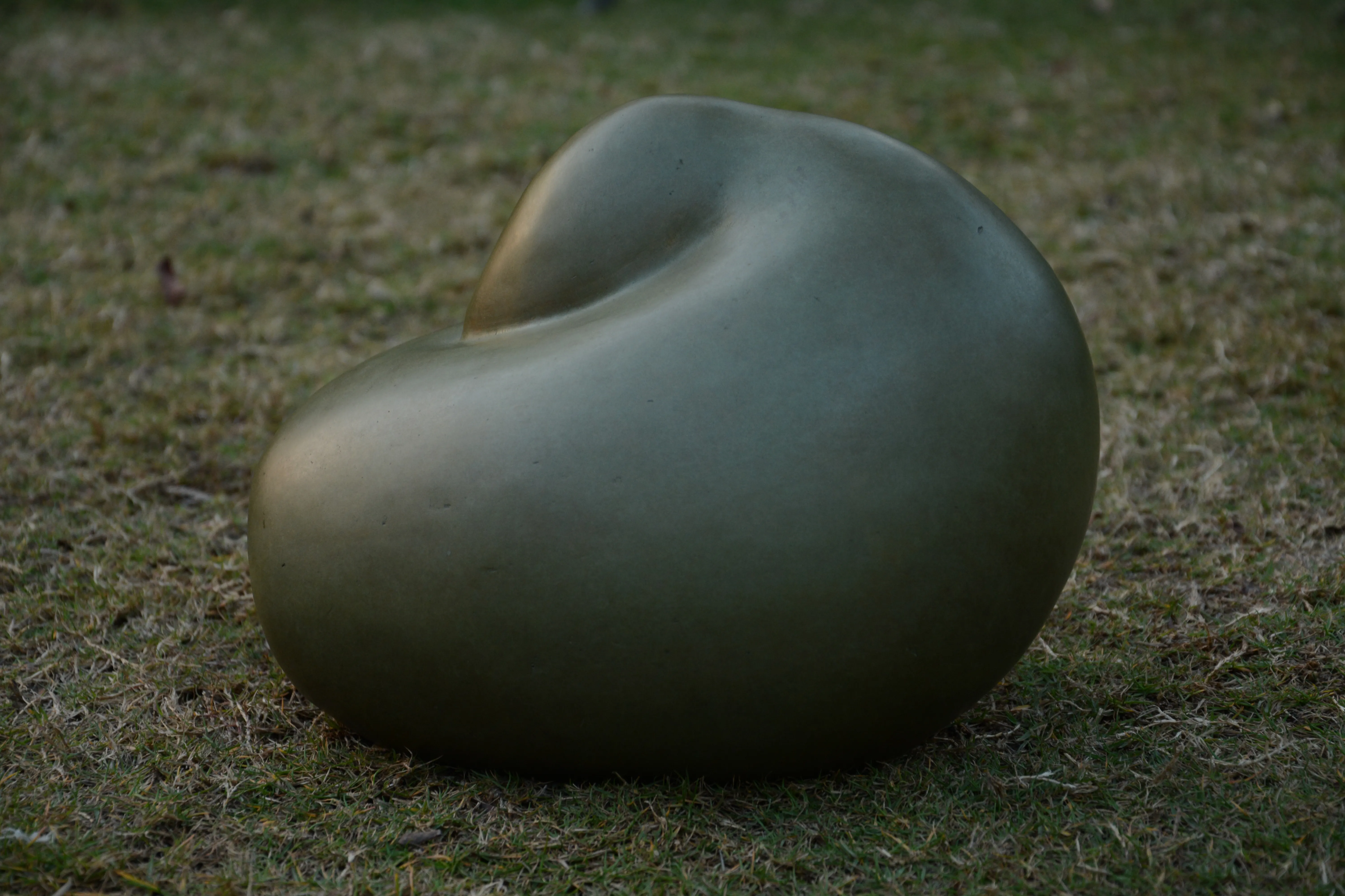 A Sleeping Duck (large)