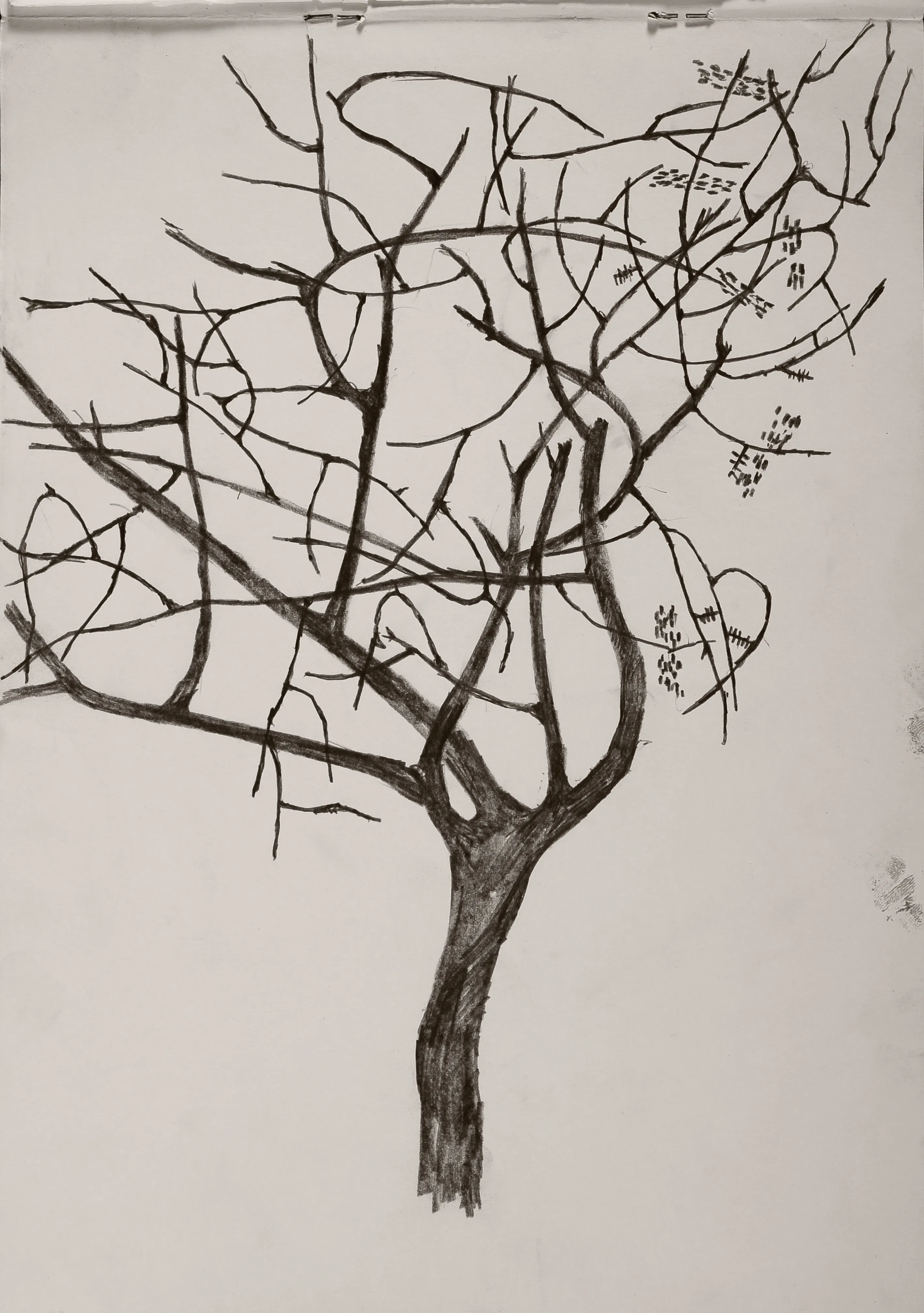 Untitled Pencil25