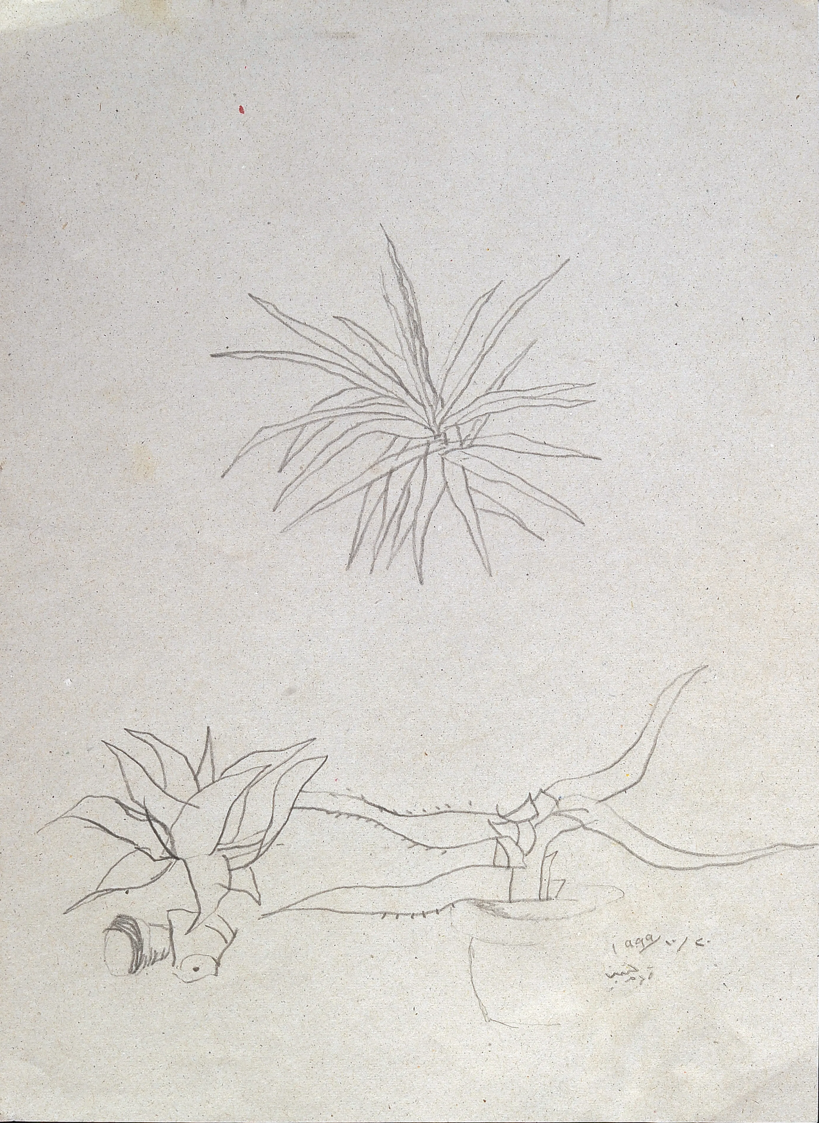 Untitled Pencil65
