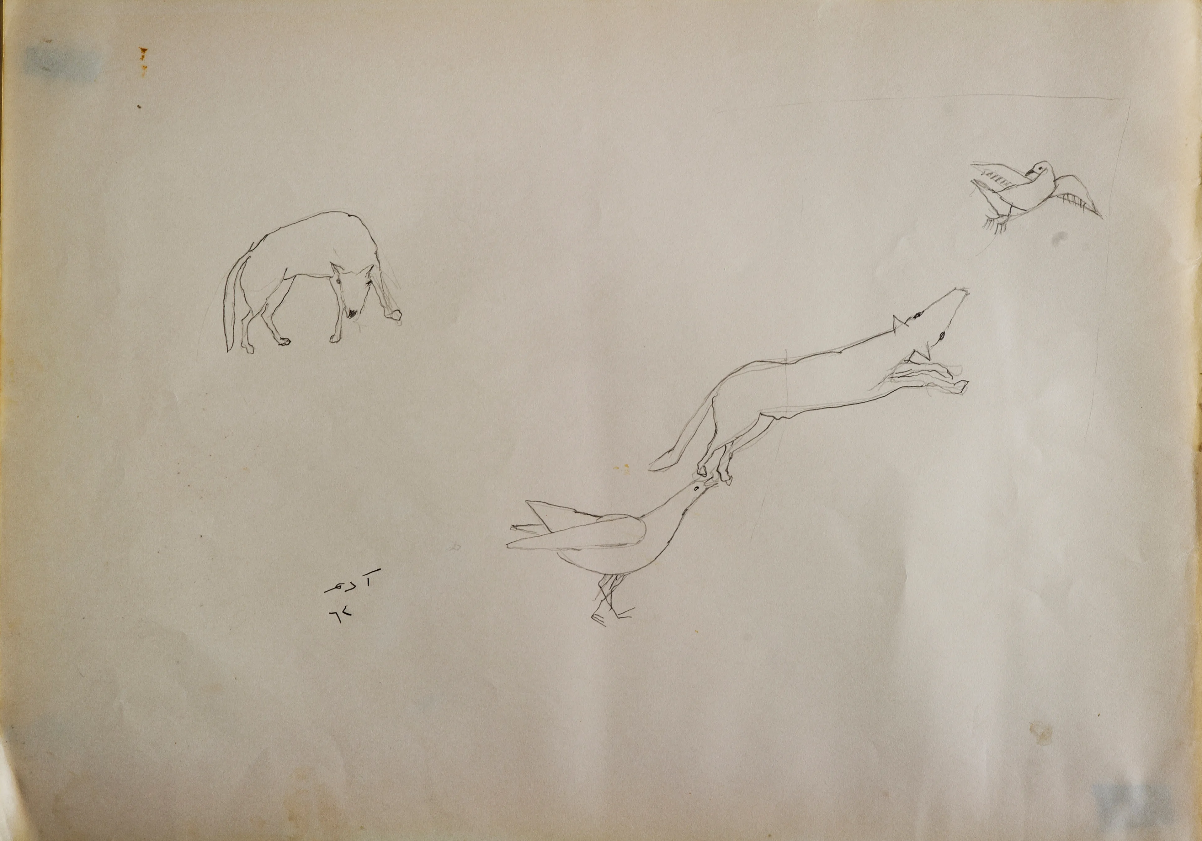 Untitled Pencil87