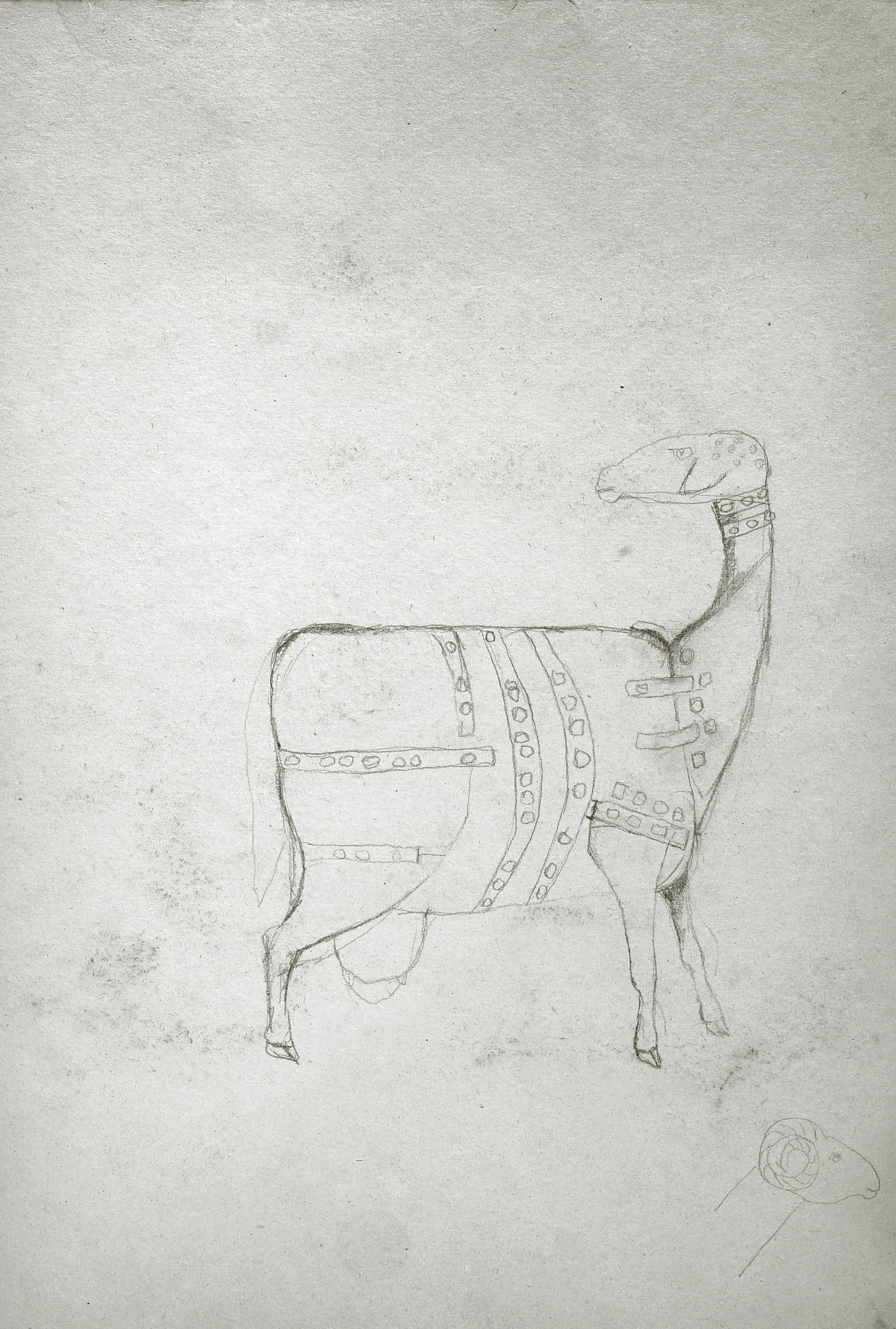 Goat - Studies 6