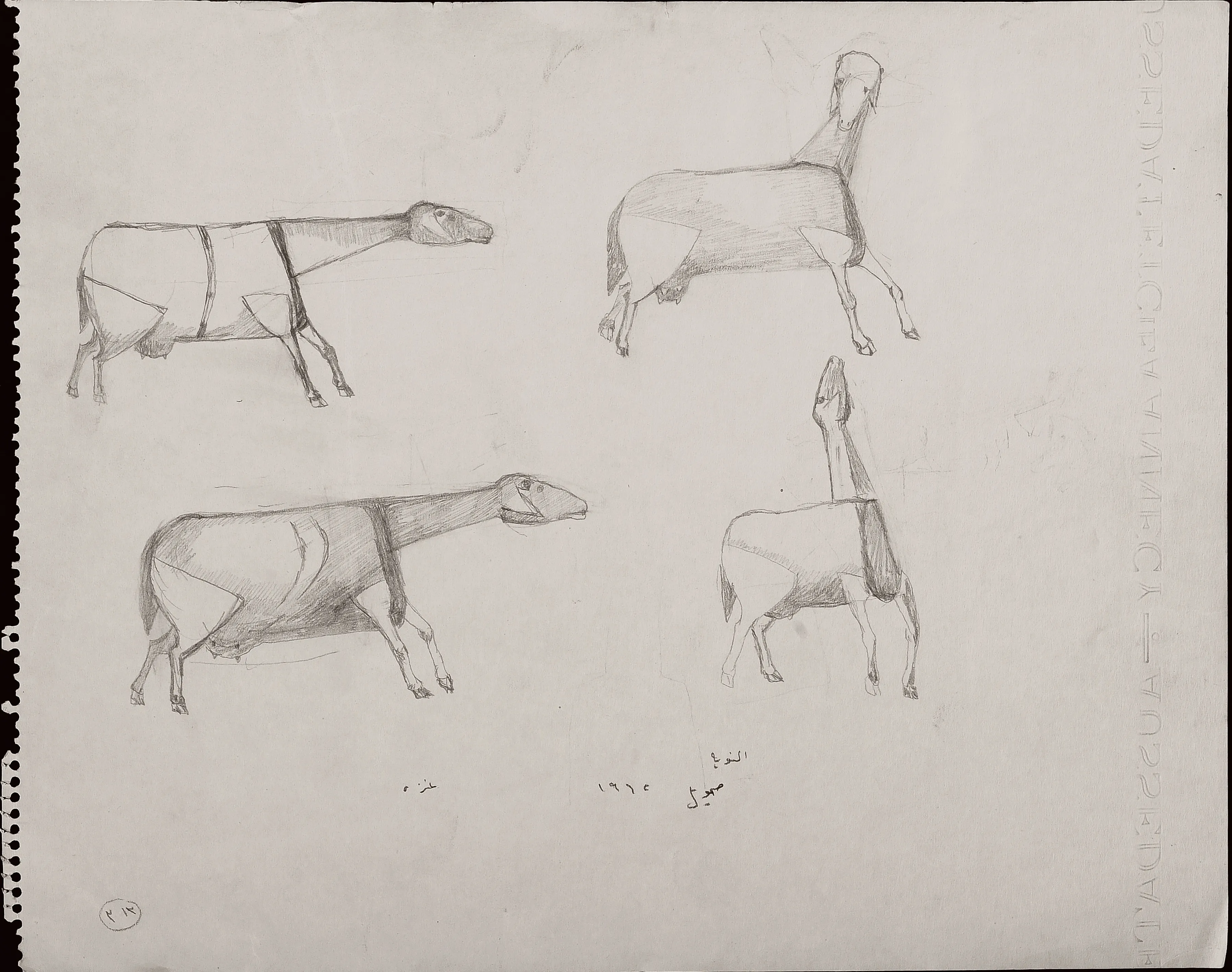 Goat - Studies 5