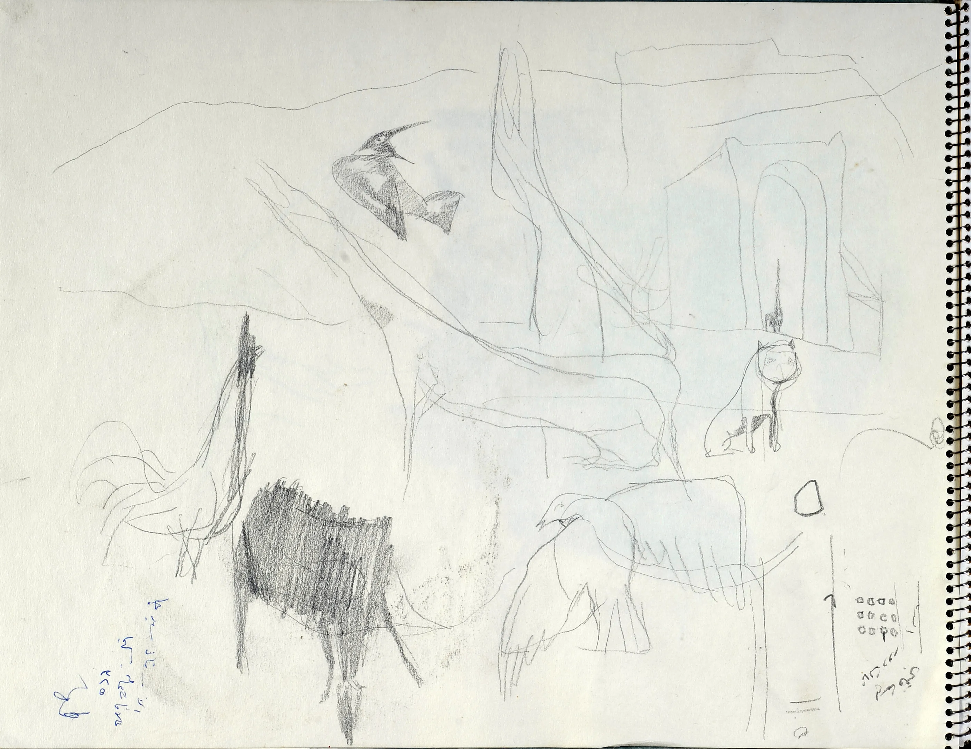 Untitled Pencil178