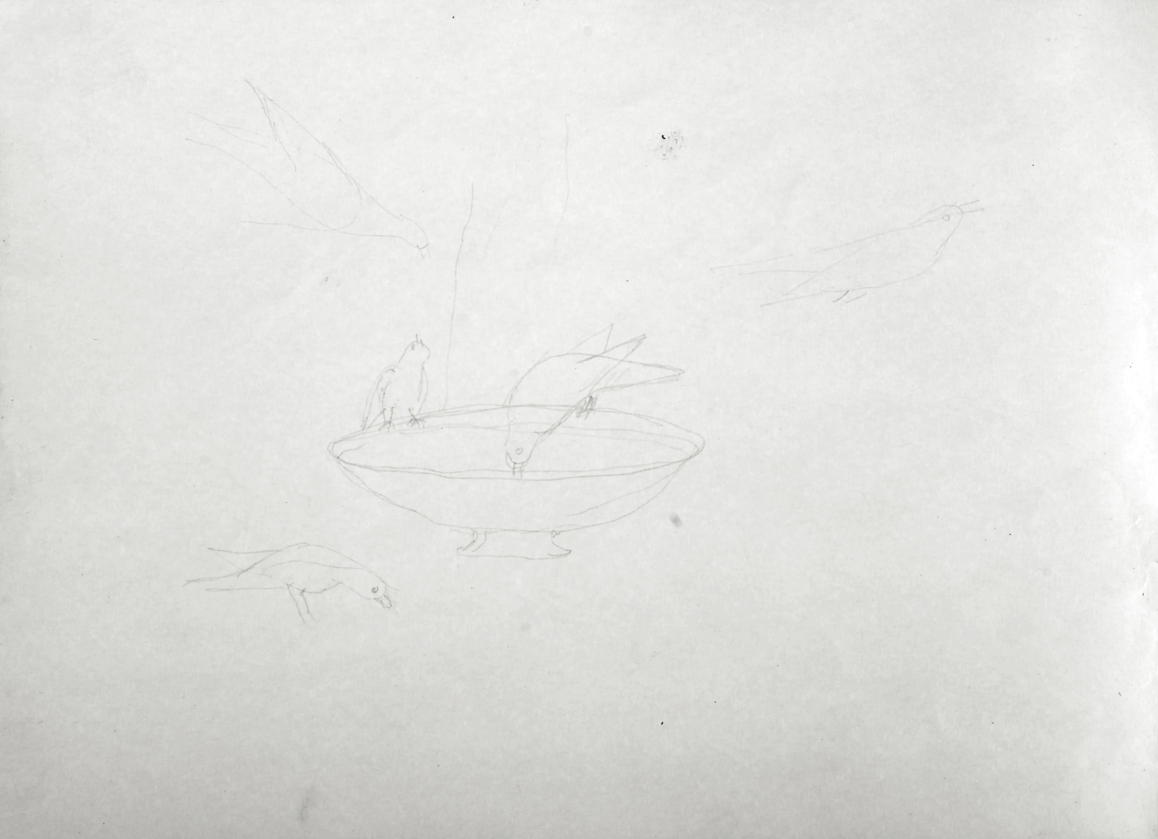 Untitled Pencil179