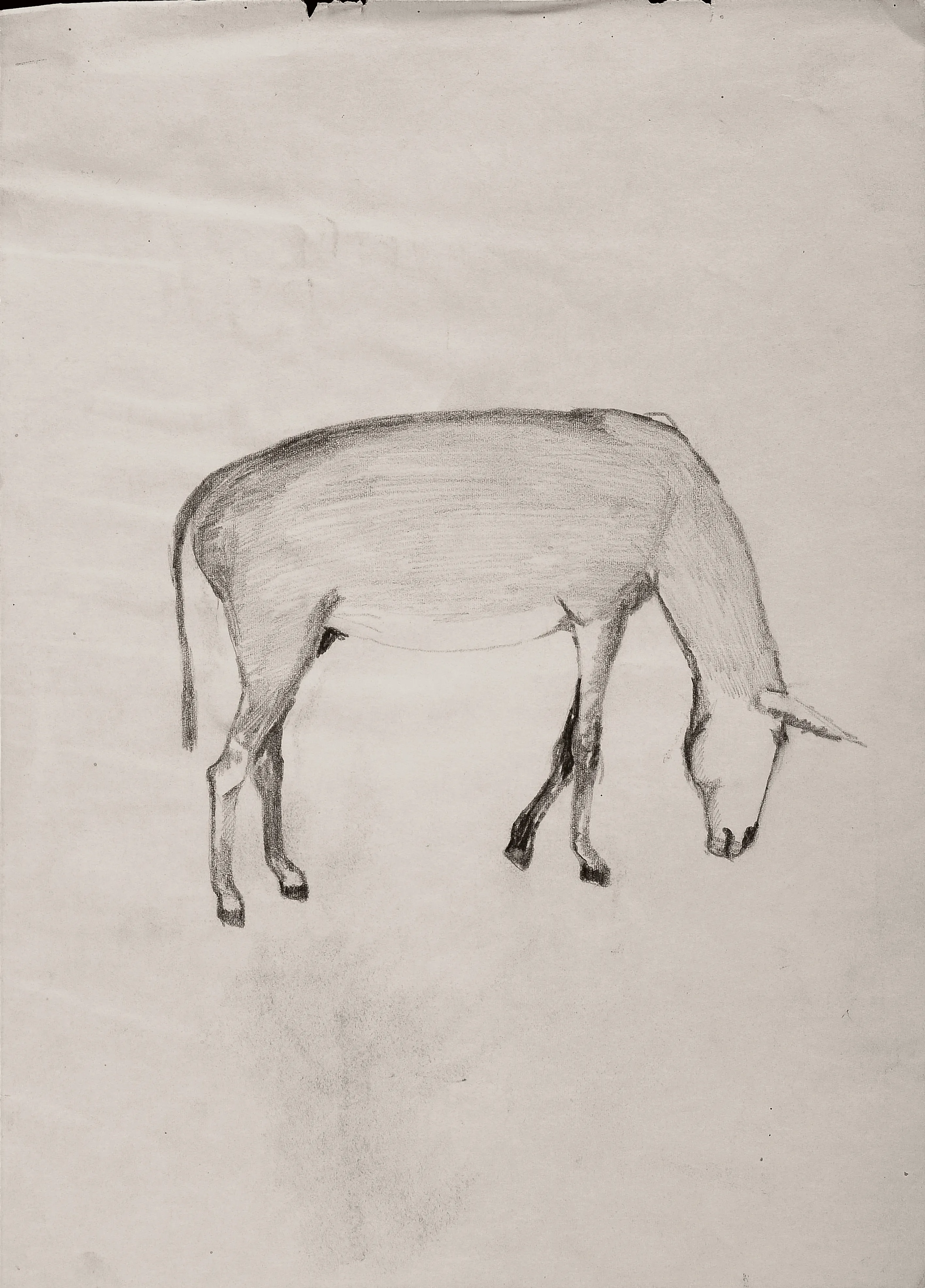 The Donkey 2