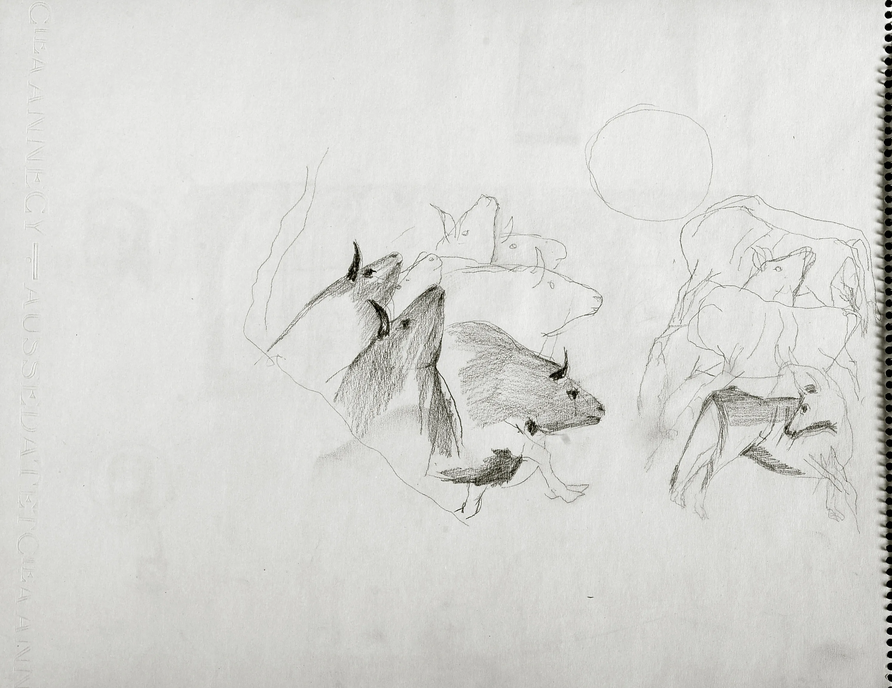 Untitled Pencil192