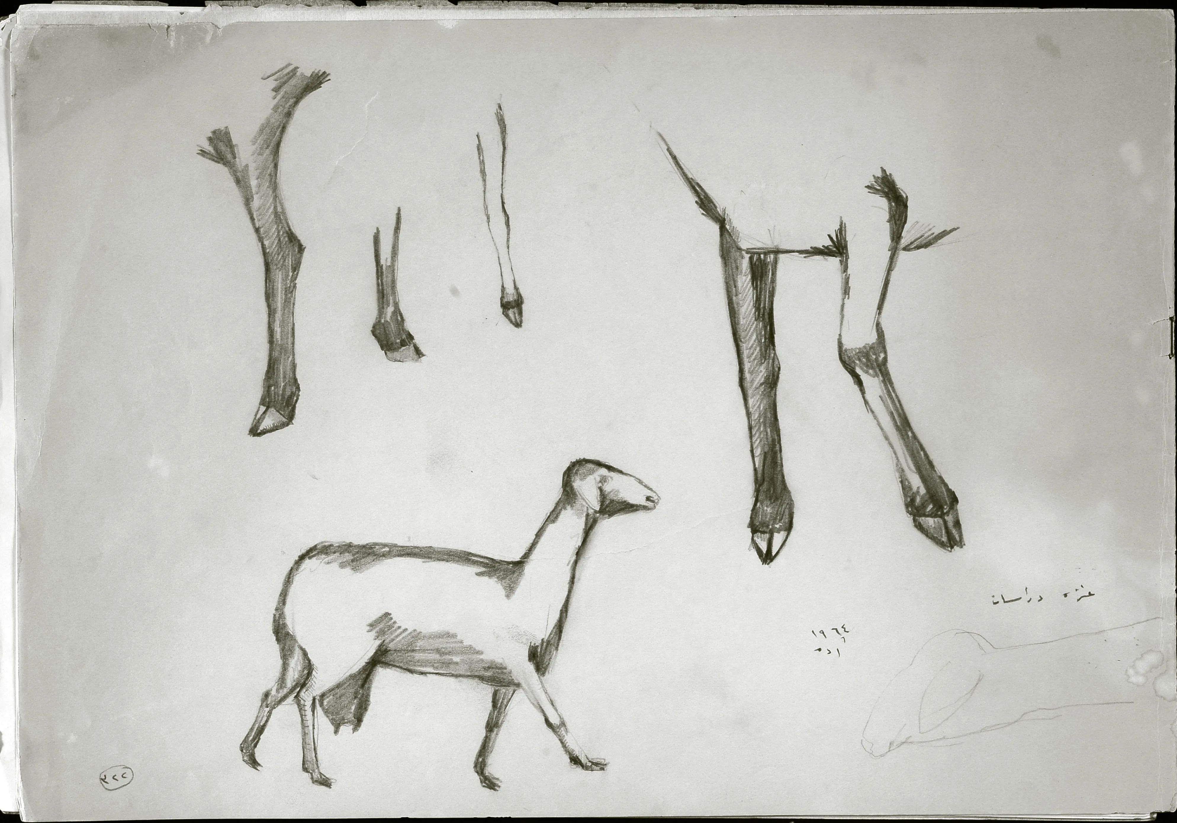 Goat - Studies 