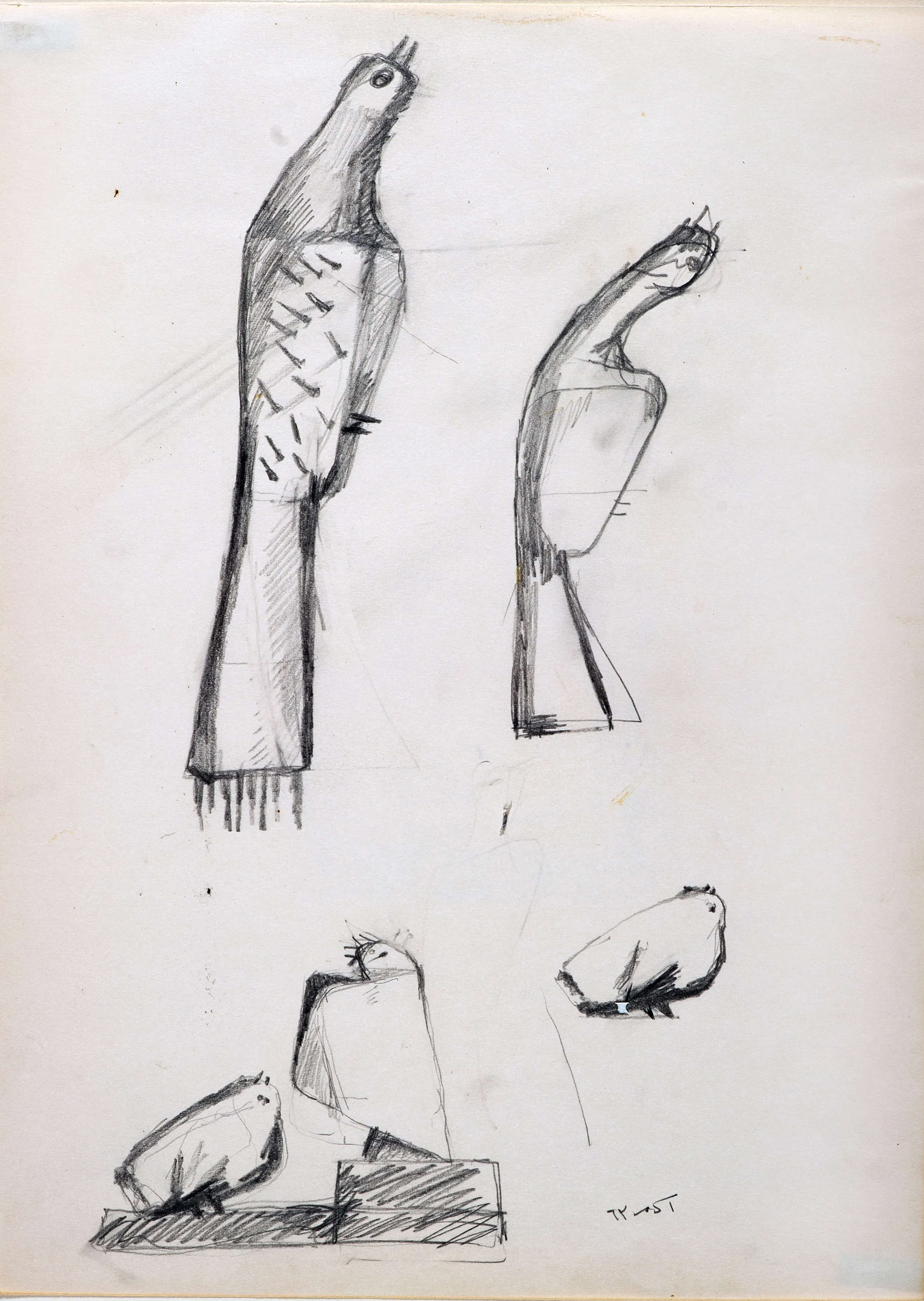 A Mythical Bird - Studies 2