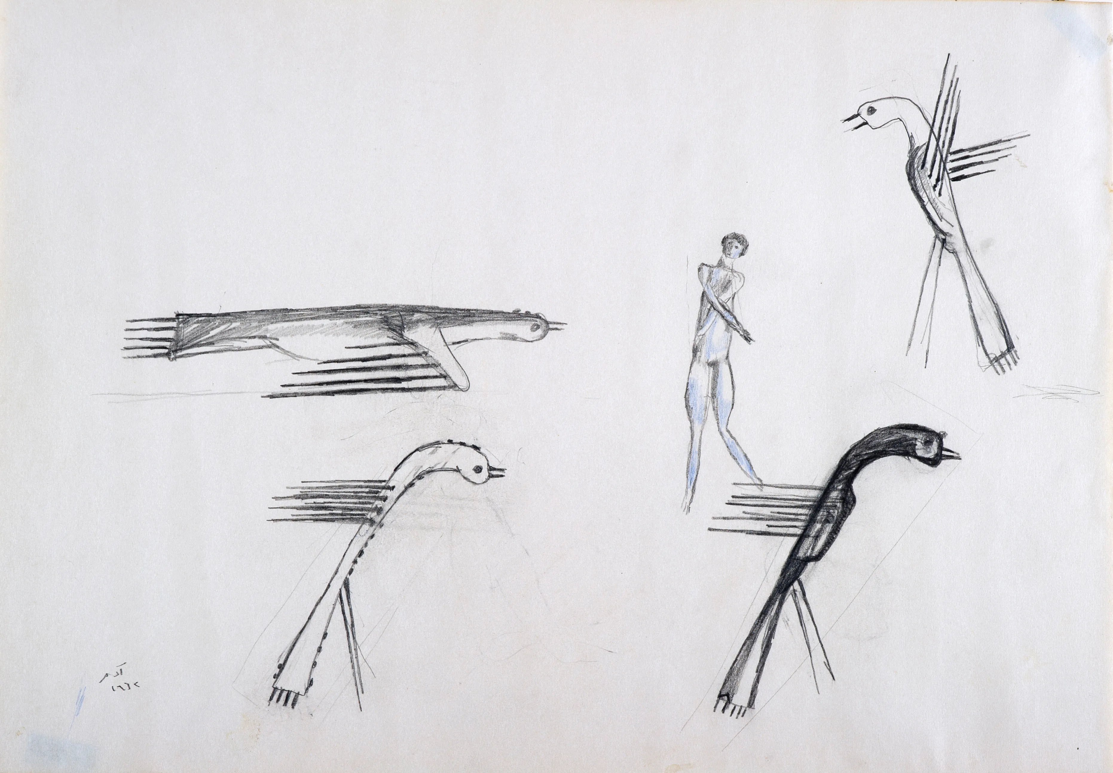 A Mythical Bird - Studies 