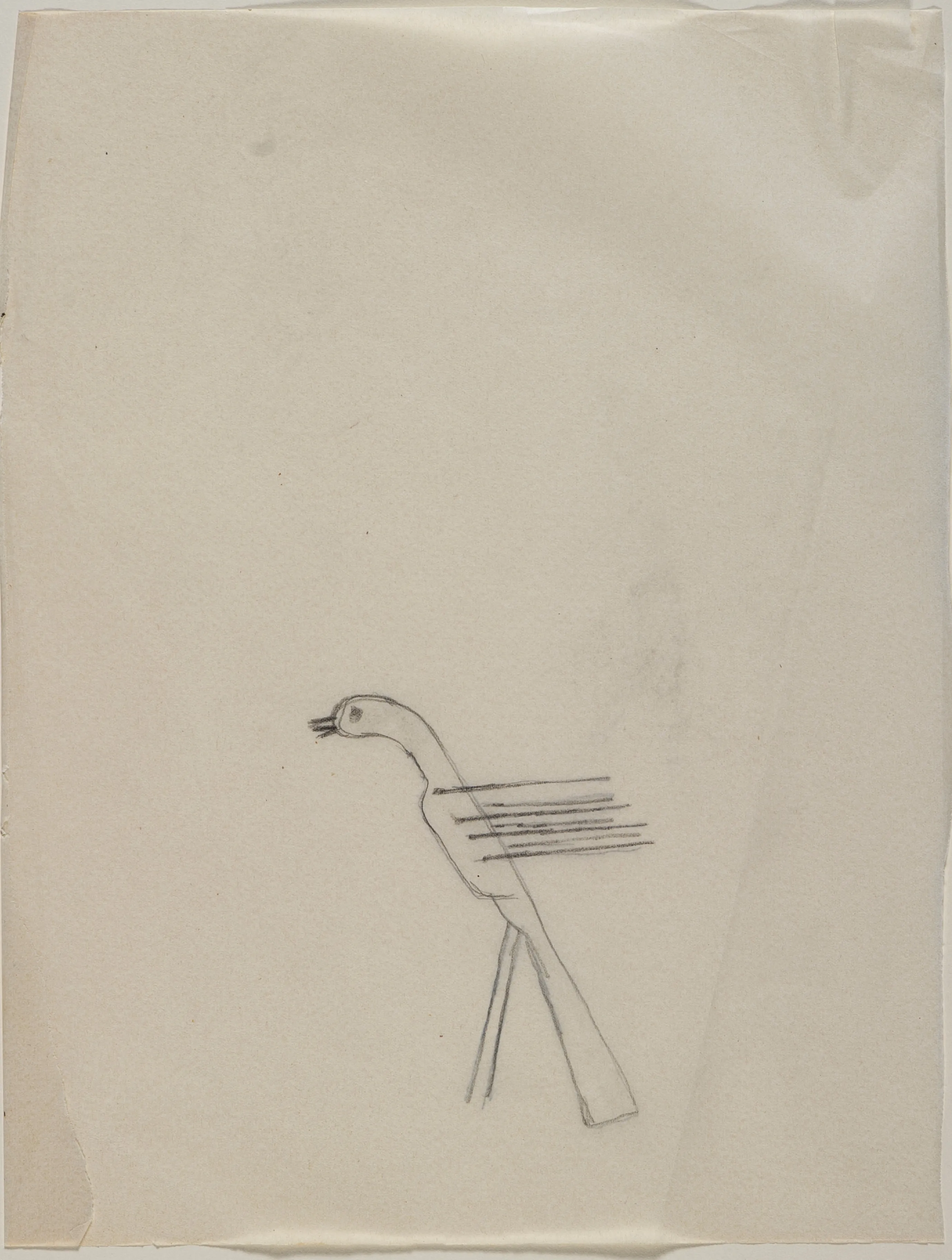 A Mythical Bird - Studies 3