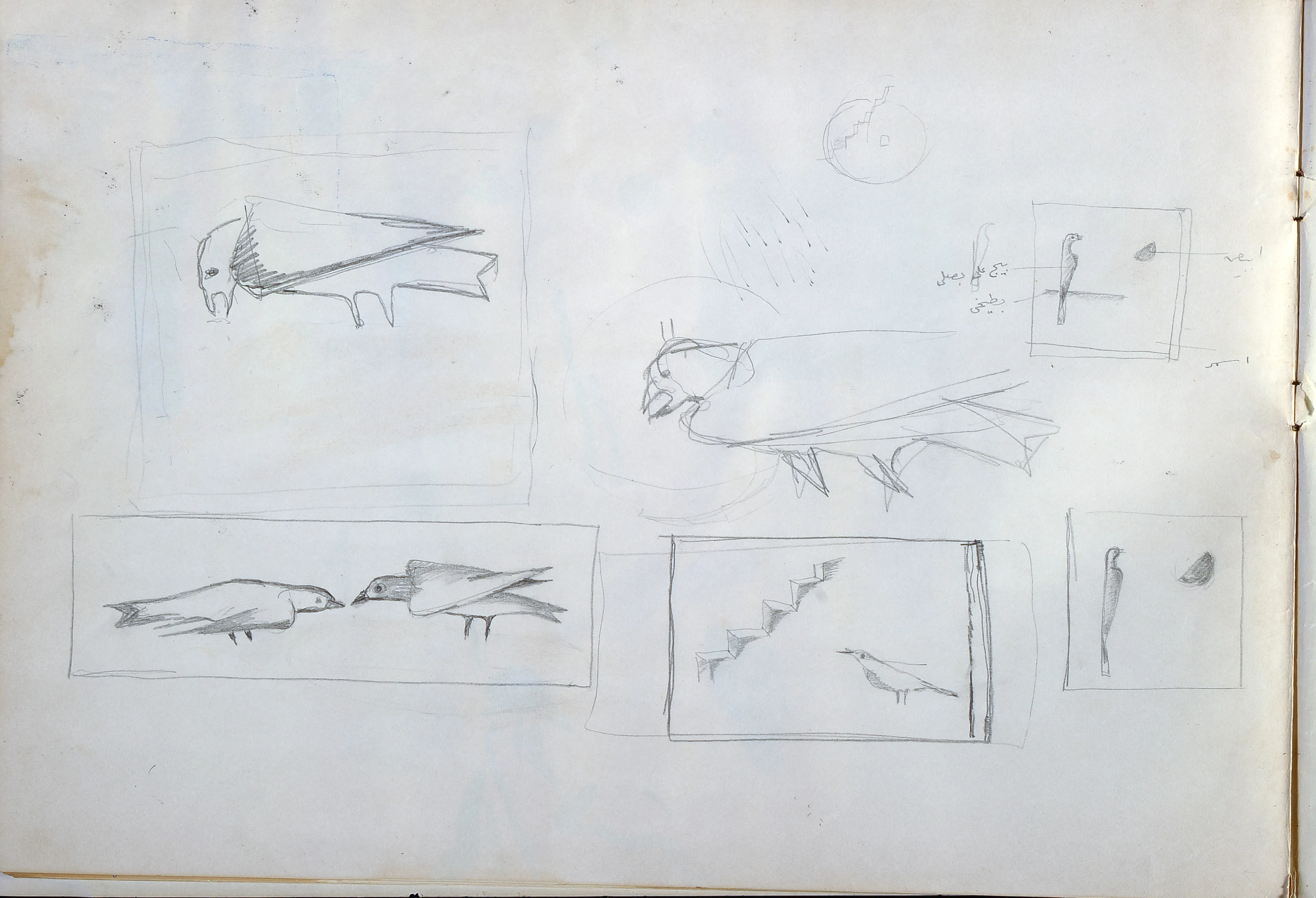 Untitled Pencil194