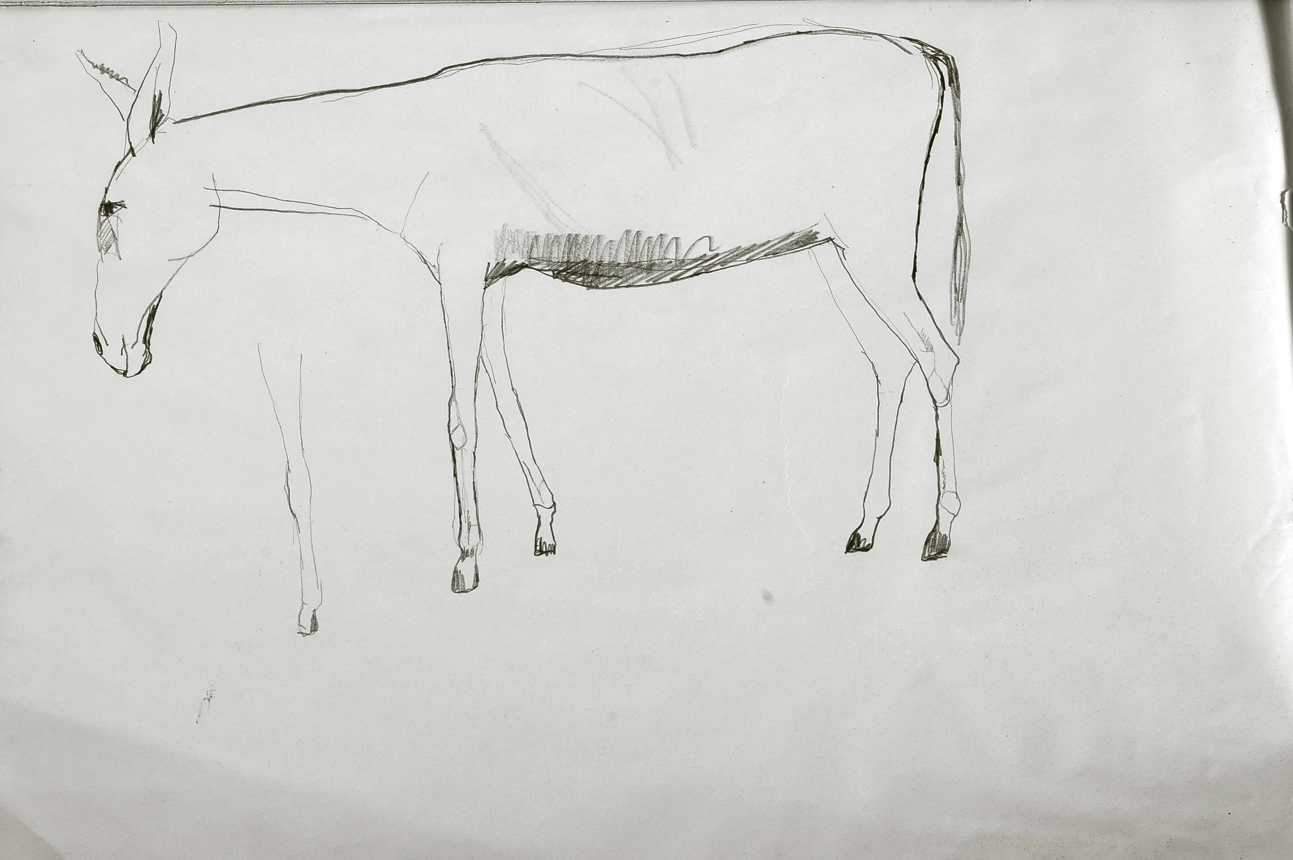 Untitled Pencil199