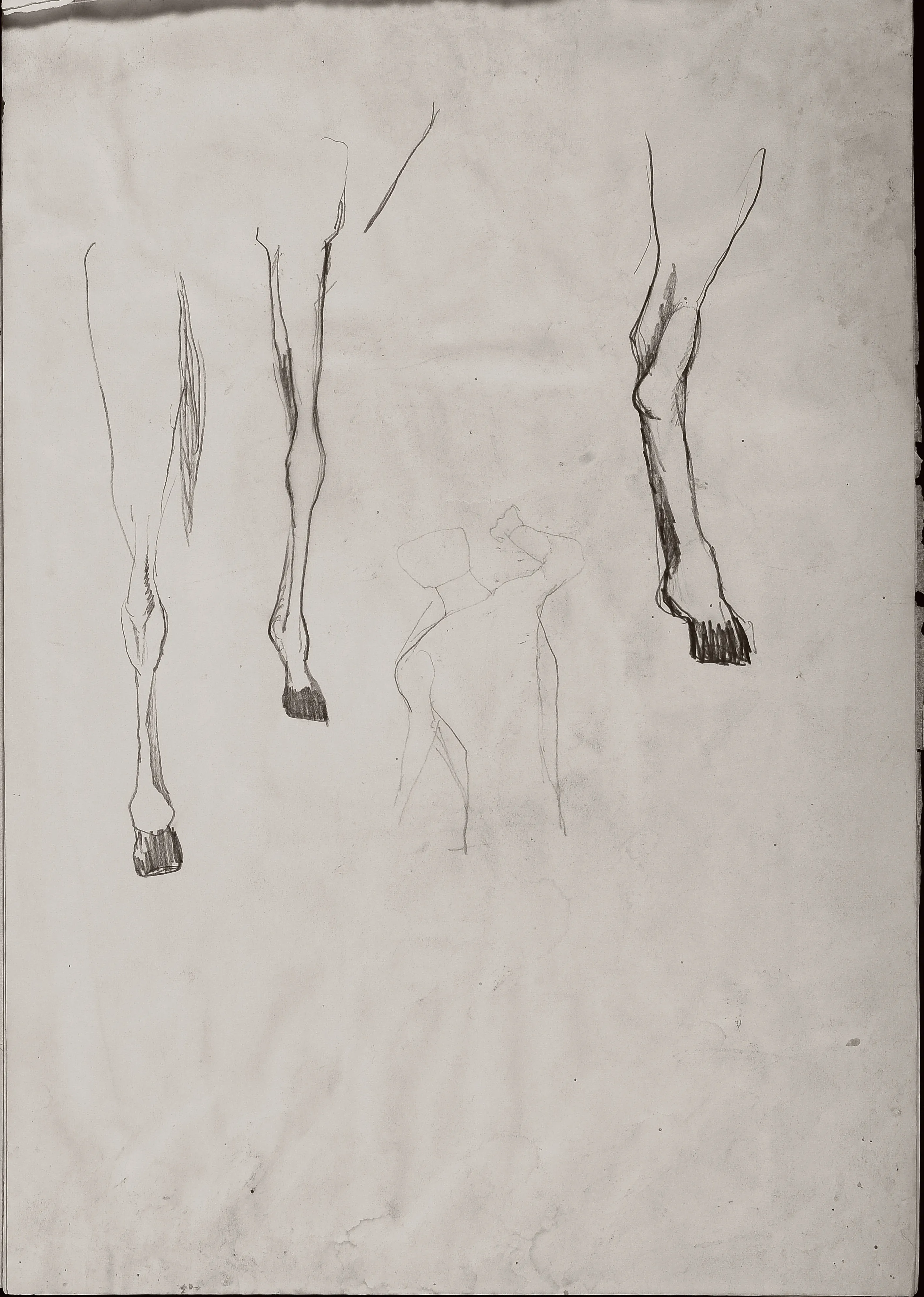 Untitled Pencil202