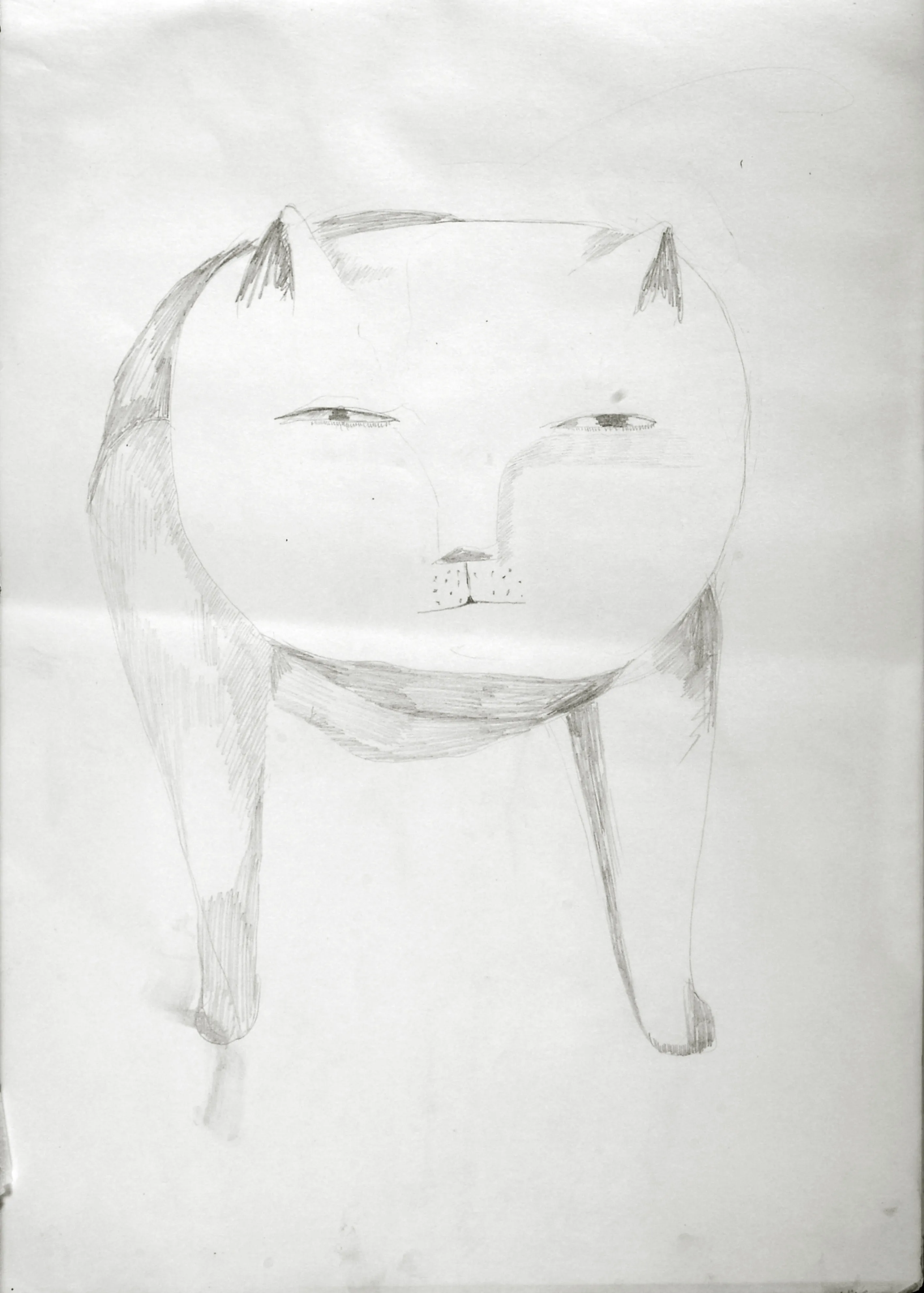 A Big Cat - Study