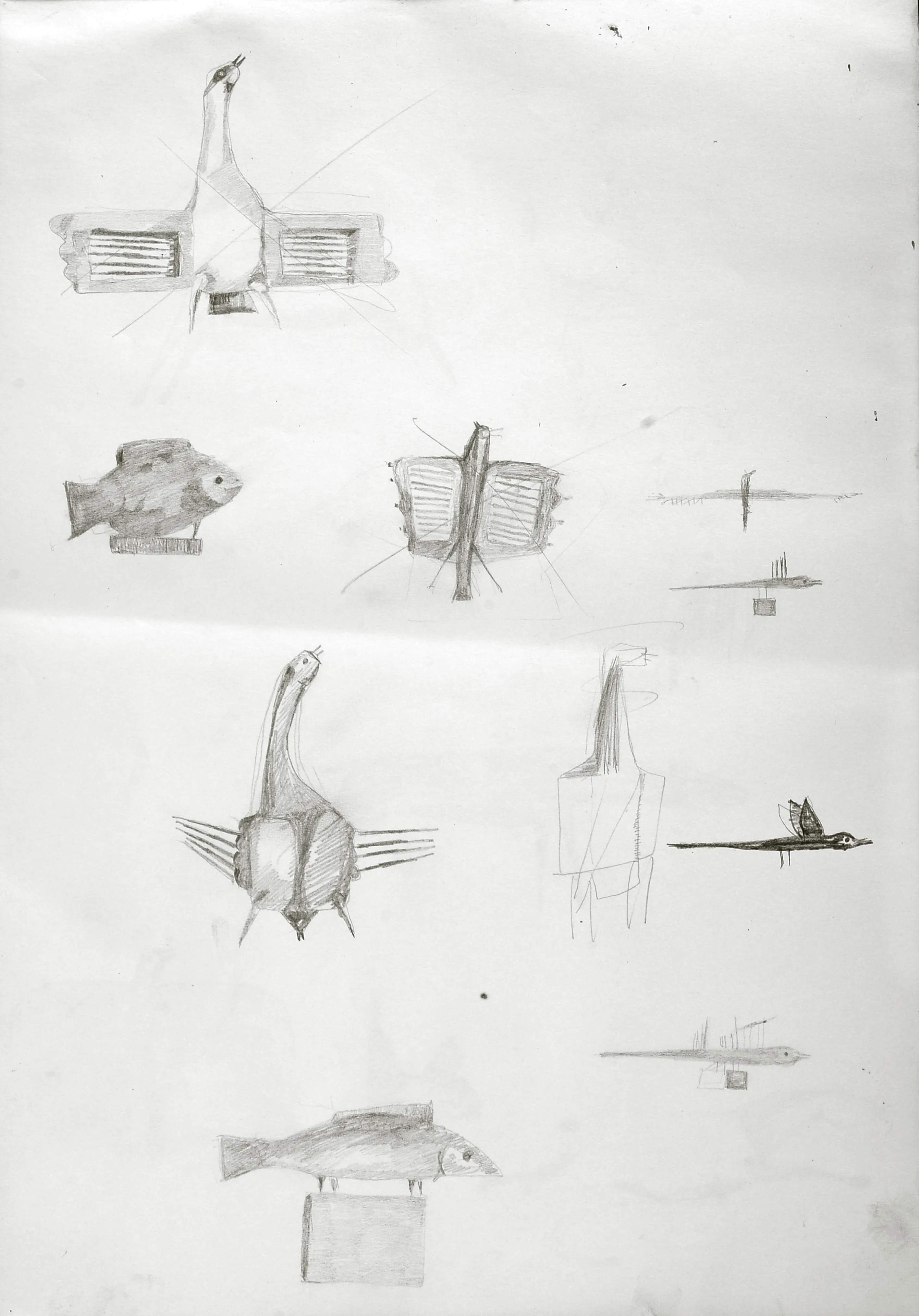 The Eagle - Studies 4