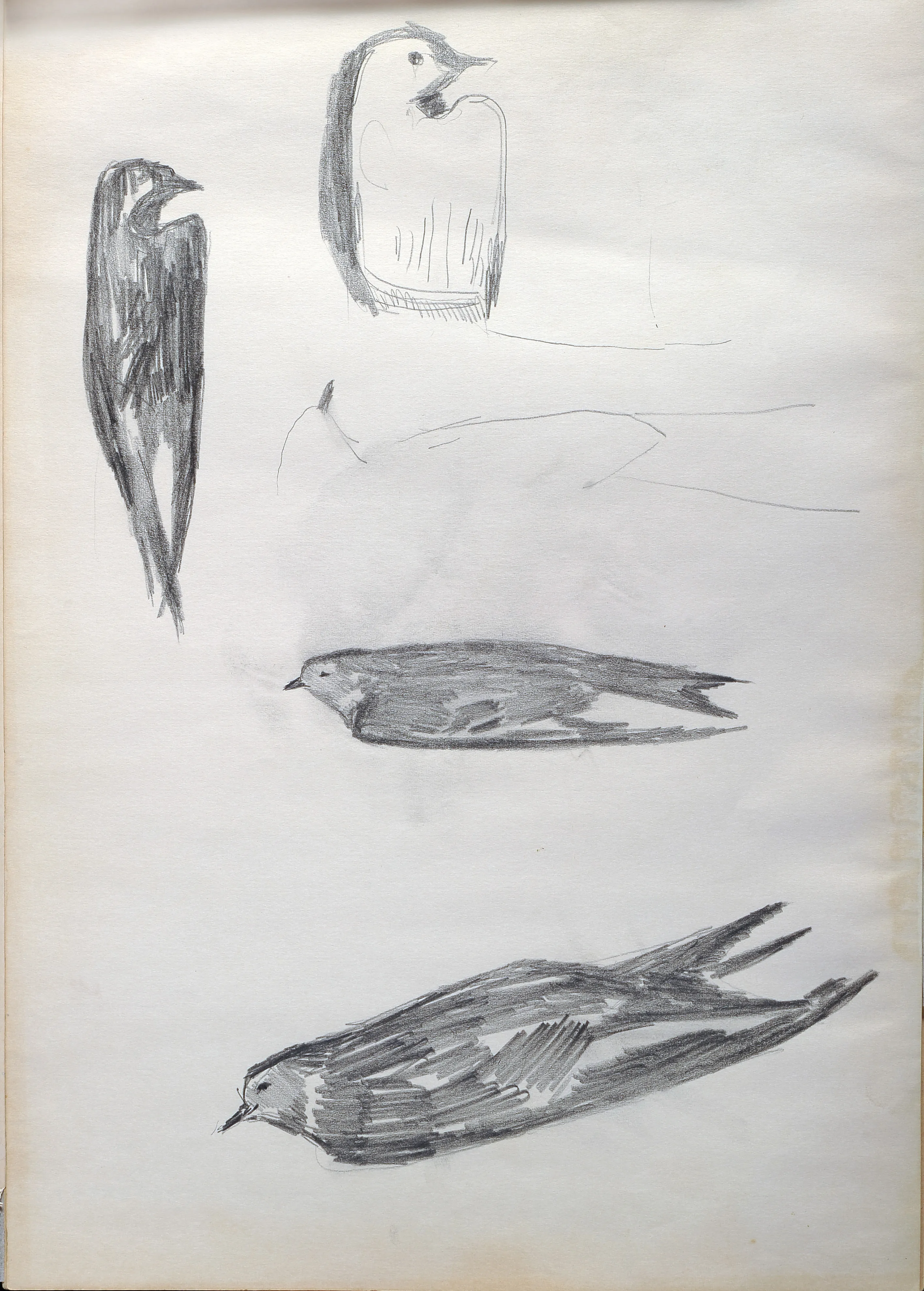Untitled Pencil205