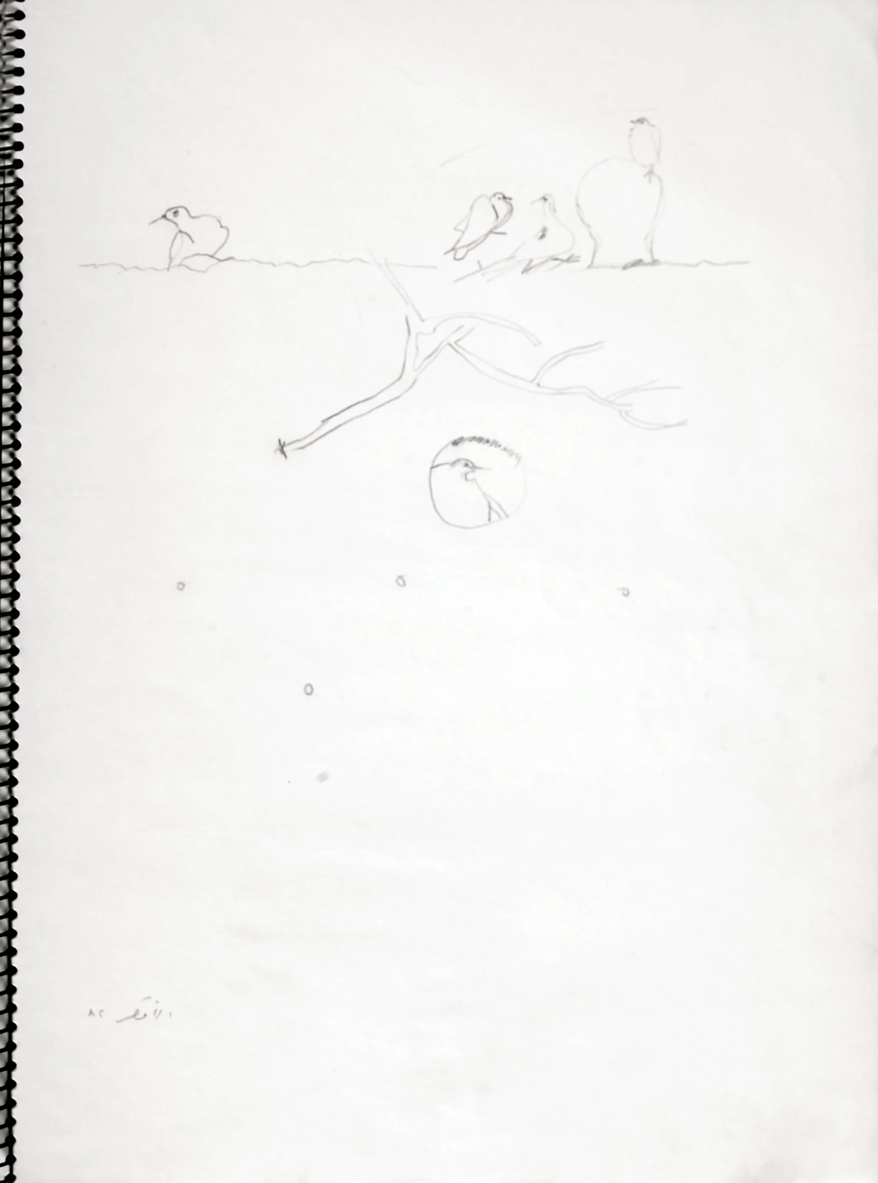 Untitled Pencil212