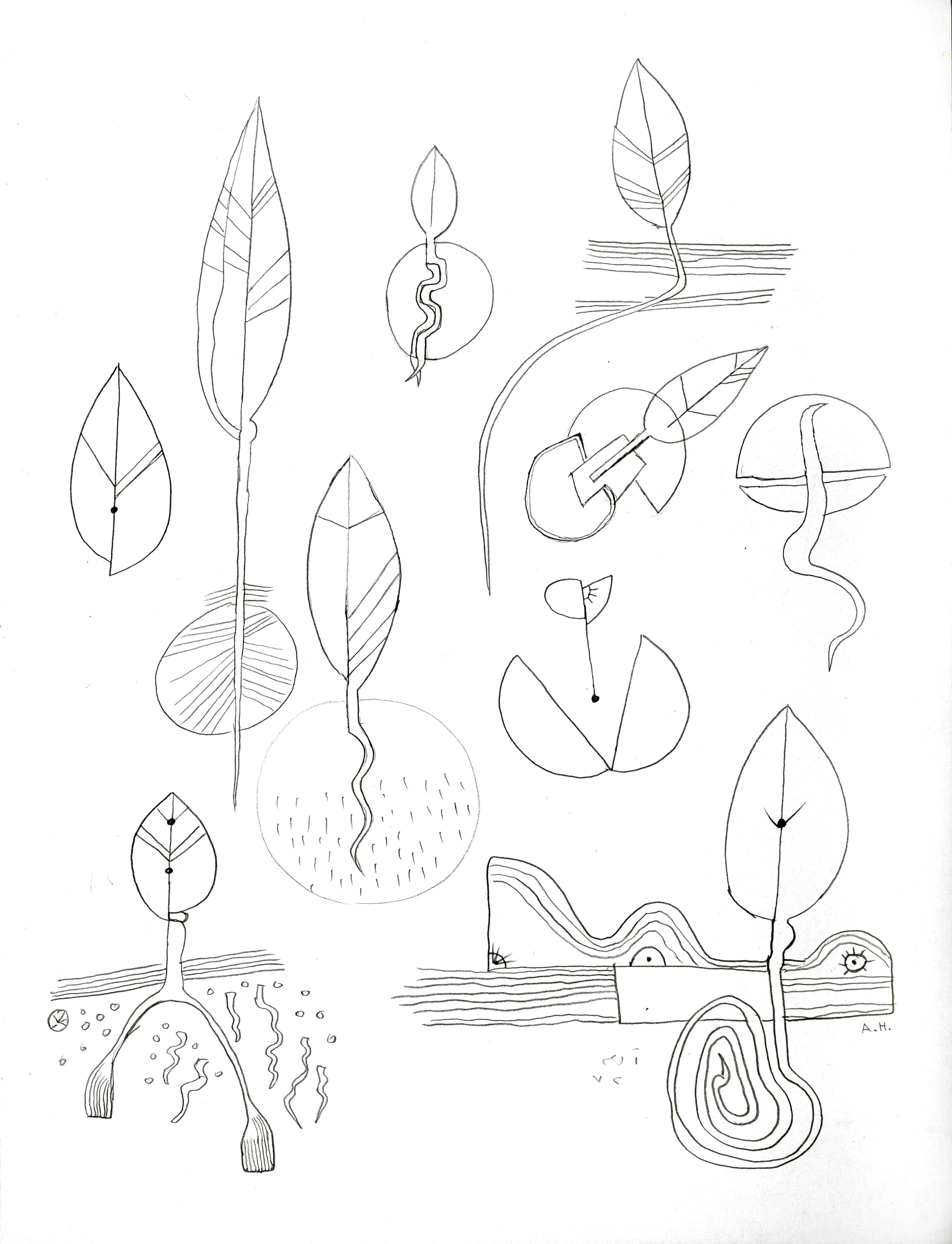 Untitled Pencil222