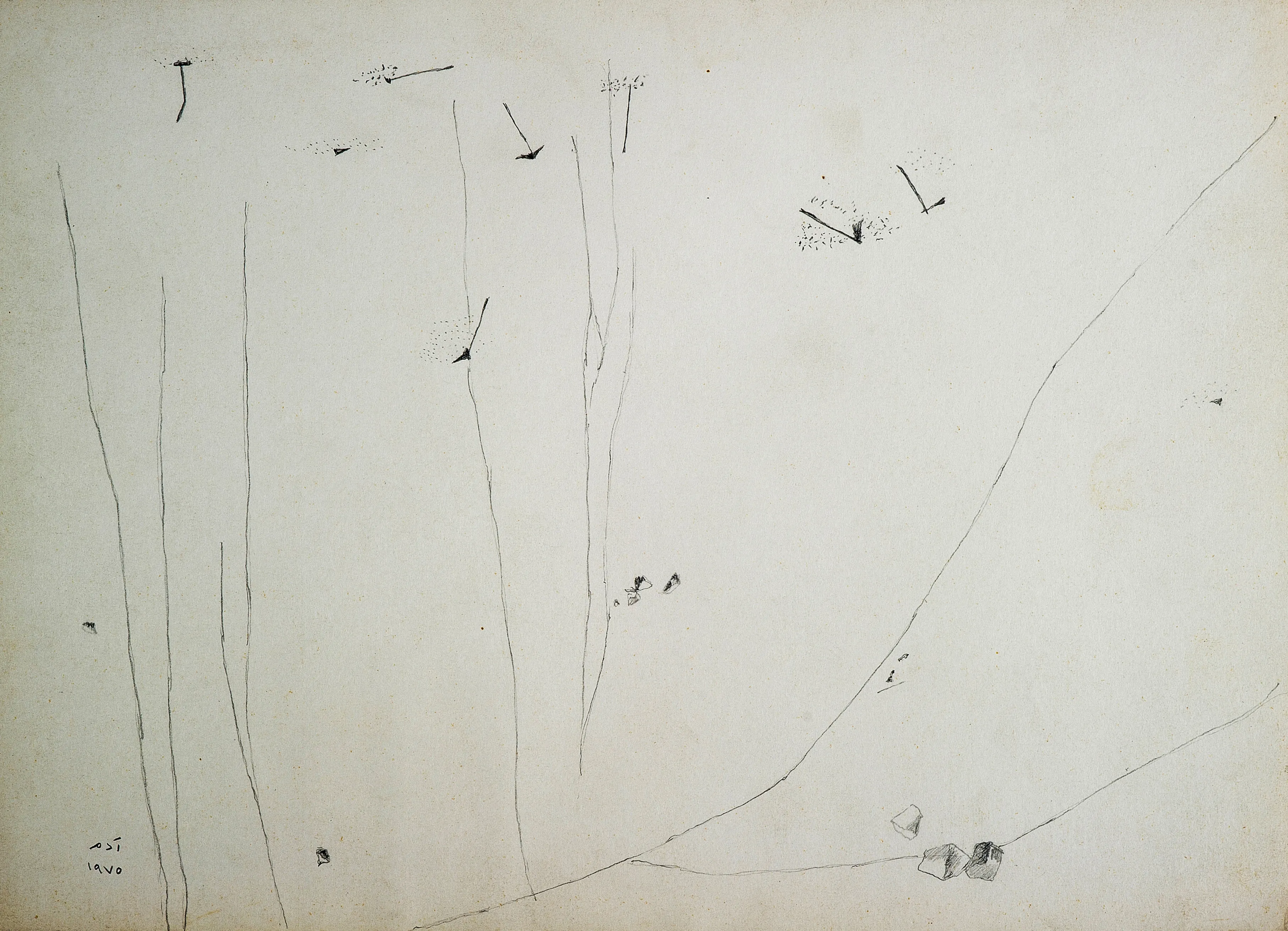 Untitled Pencil248