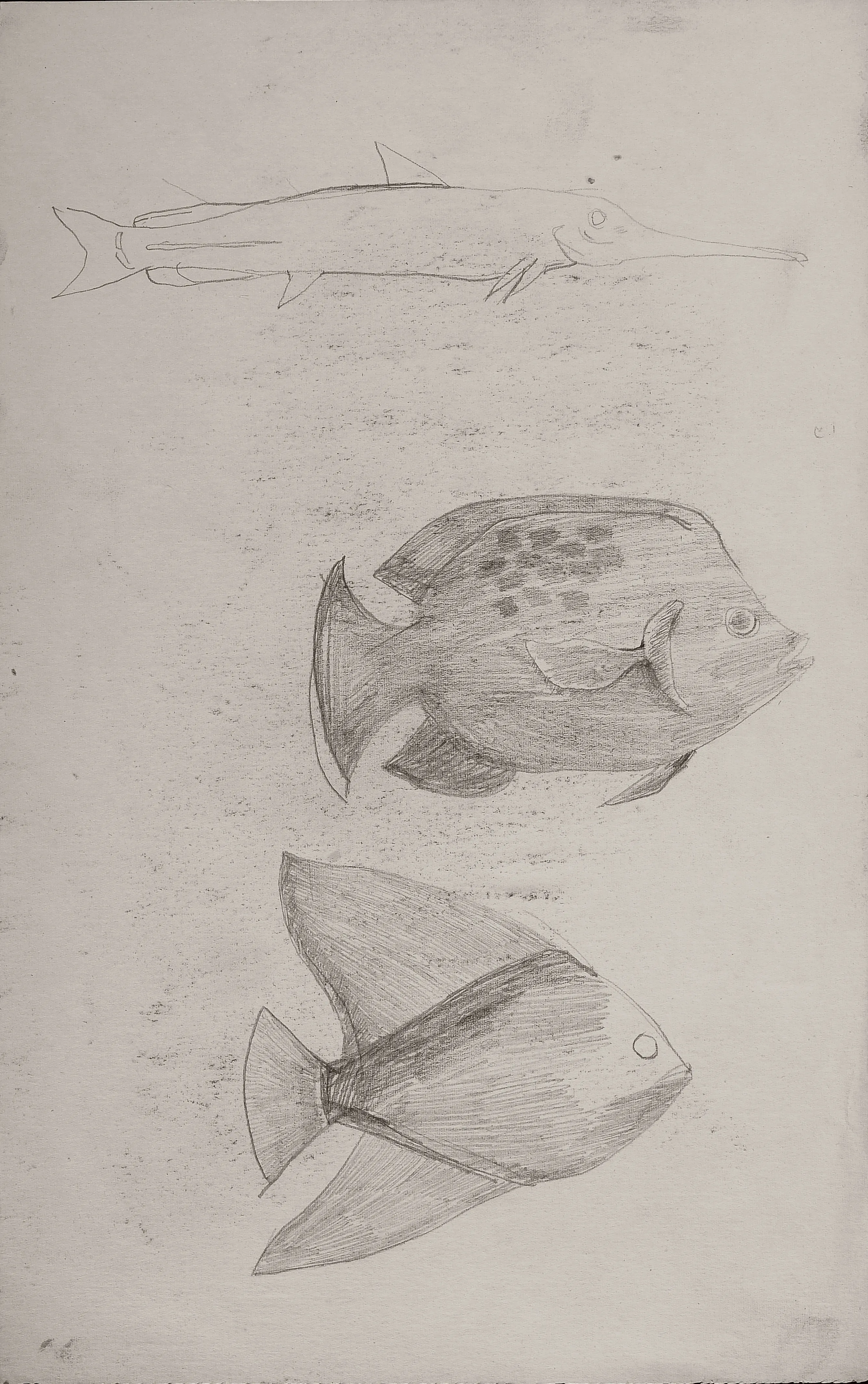 Untitled Pencil256