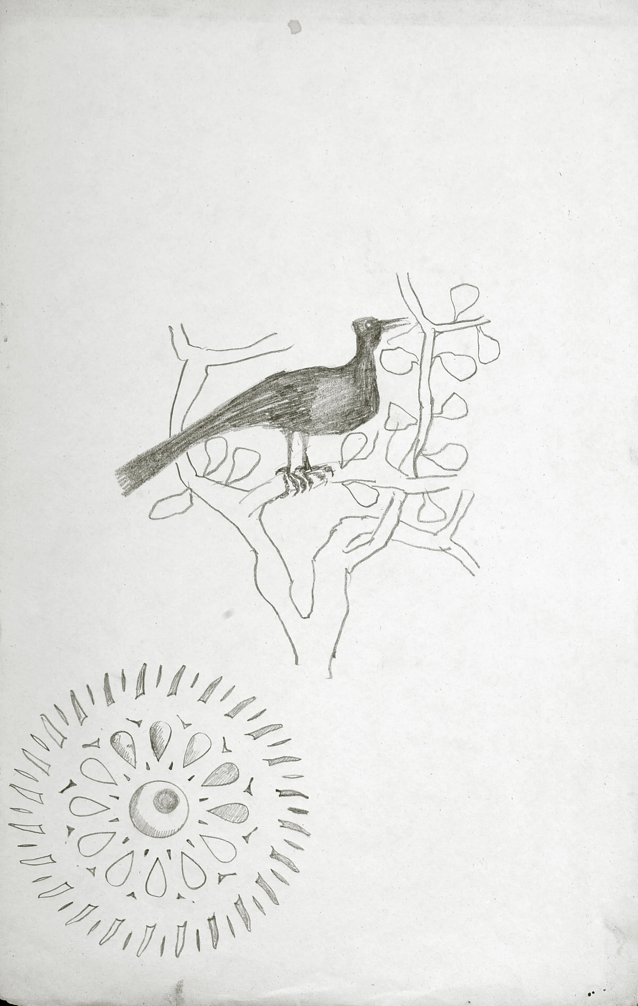 Untitled Pencil259