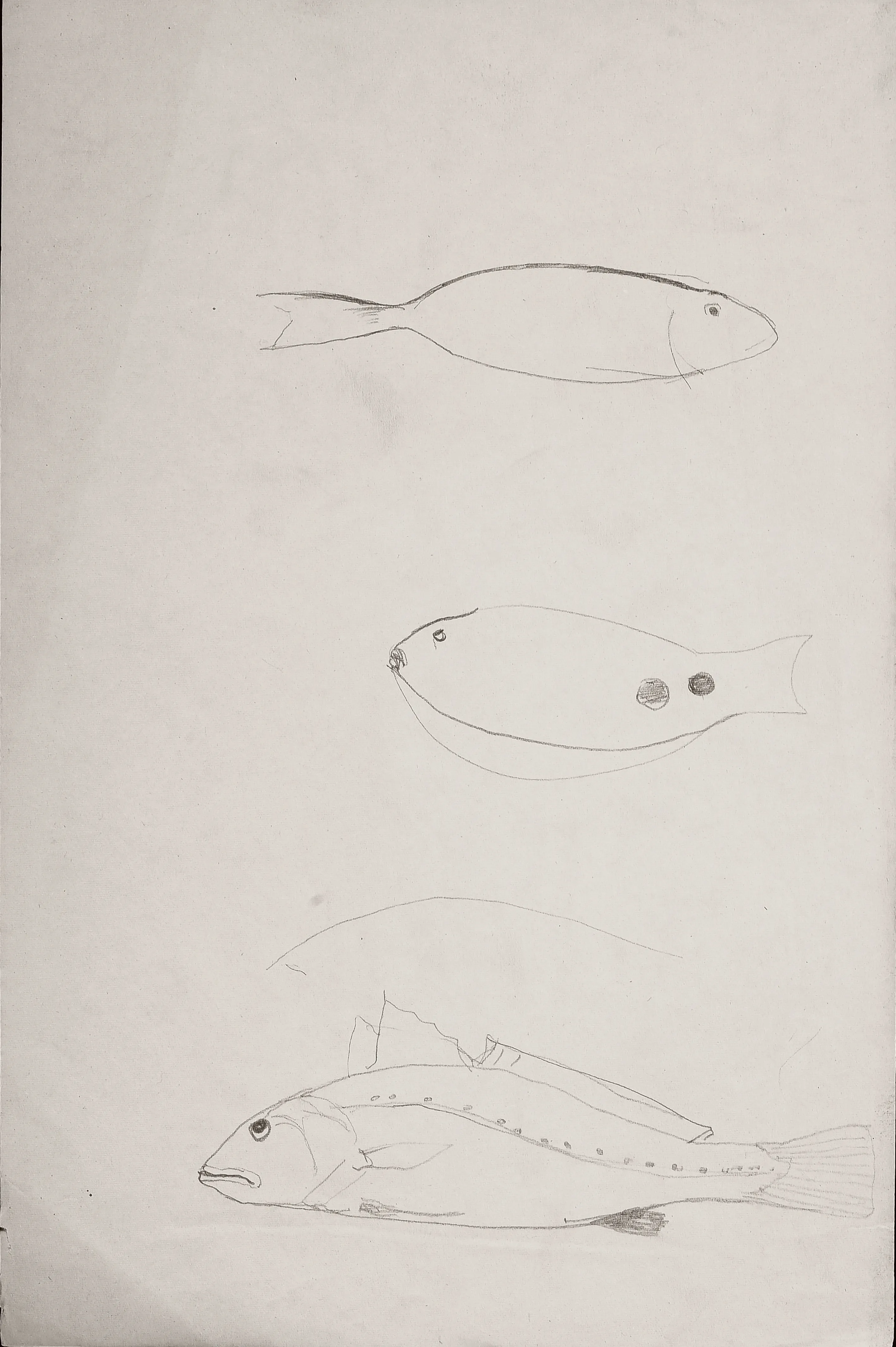 Untitled Pencil262