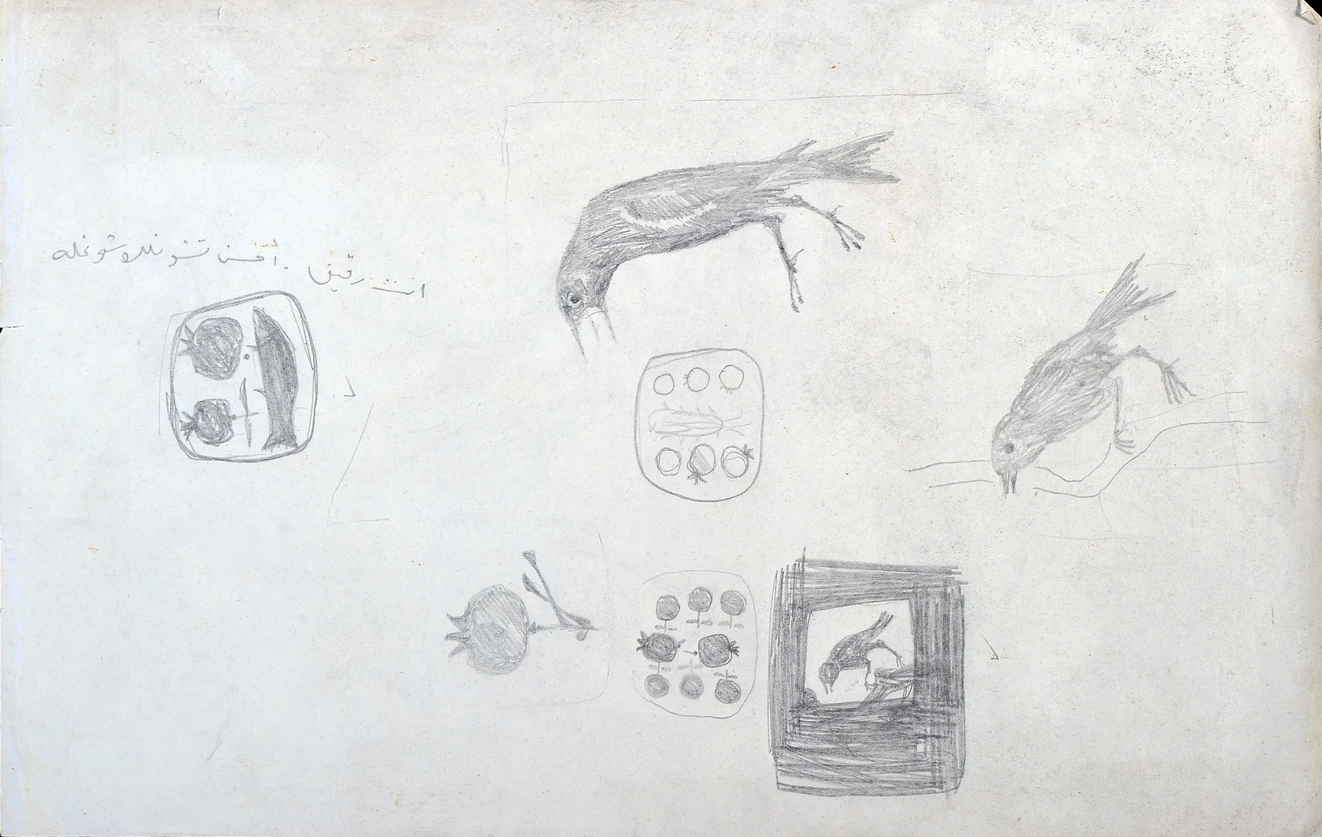 Untitled Pencil264