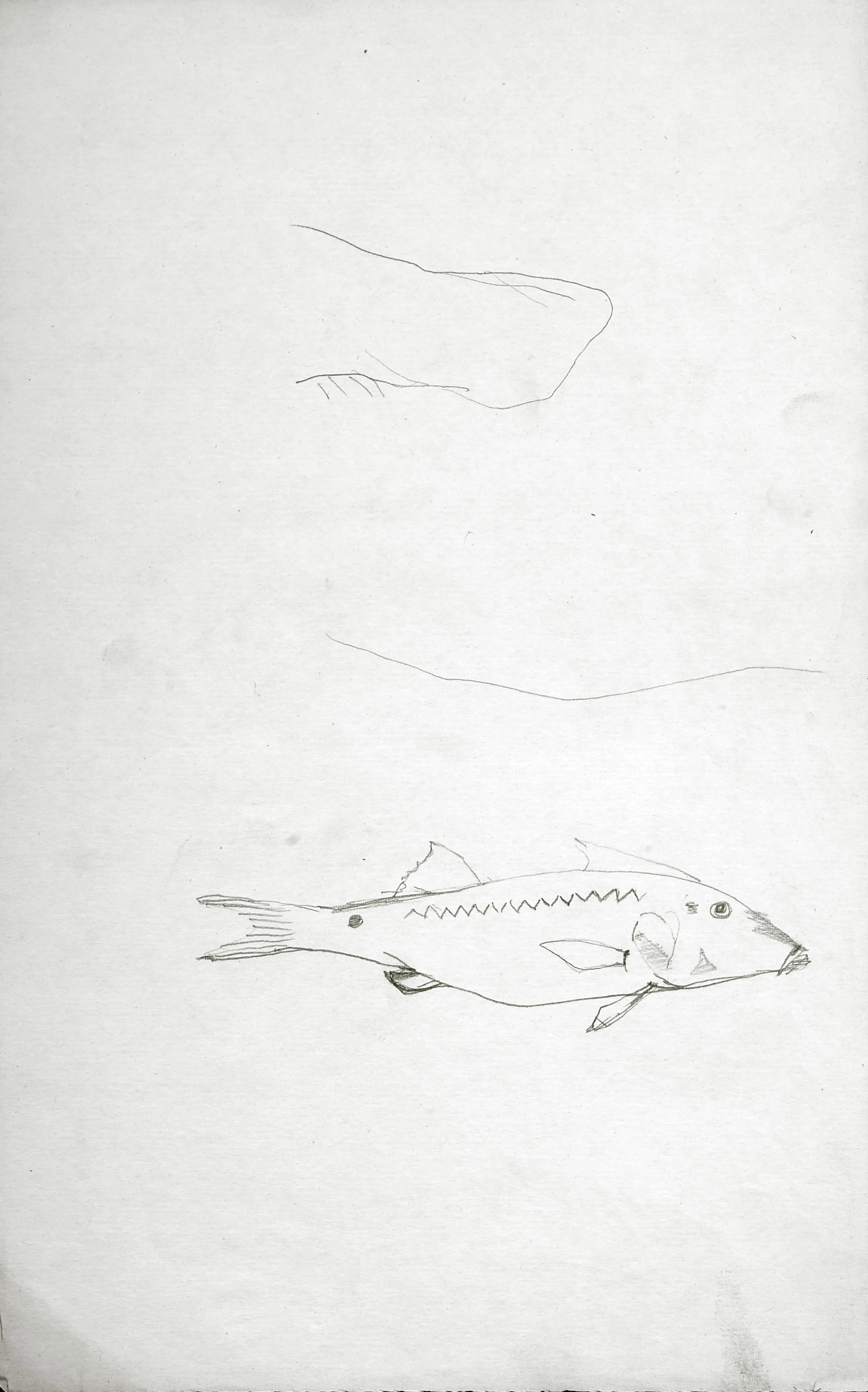 Untitled Pencil266